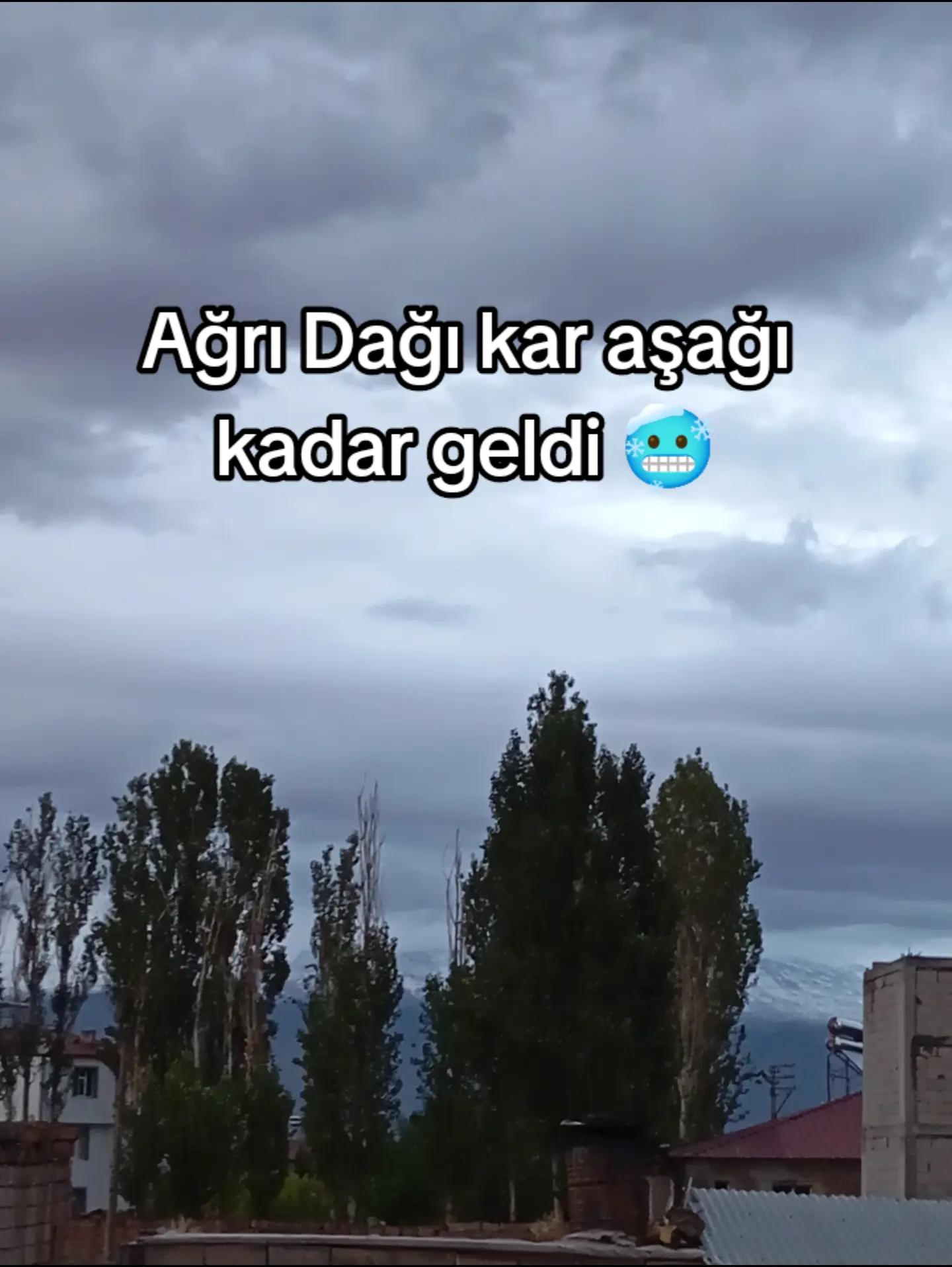 @bazidli adem04