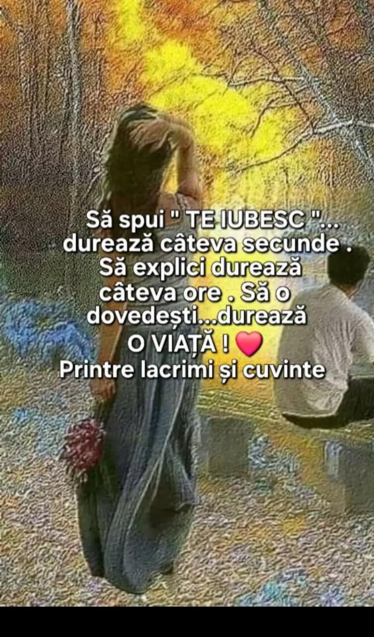 @Sebastian Luminița