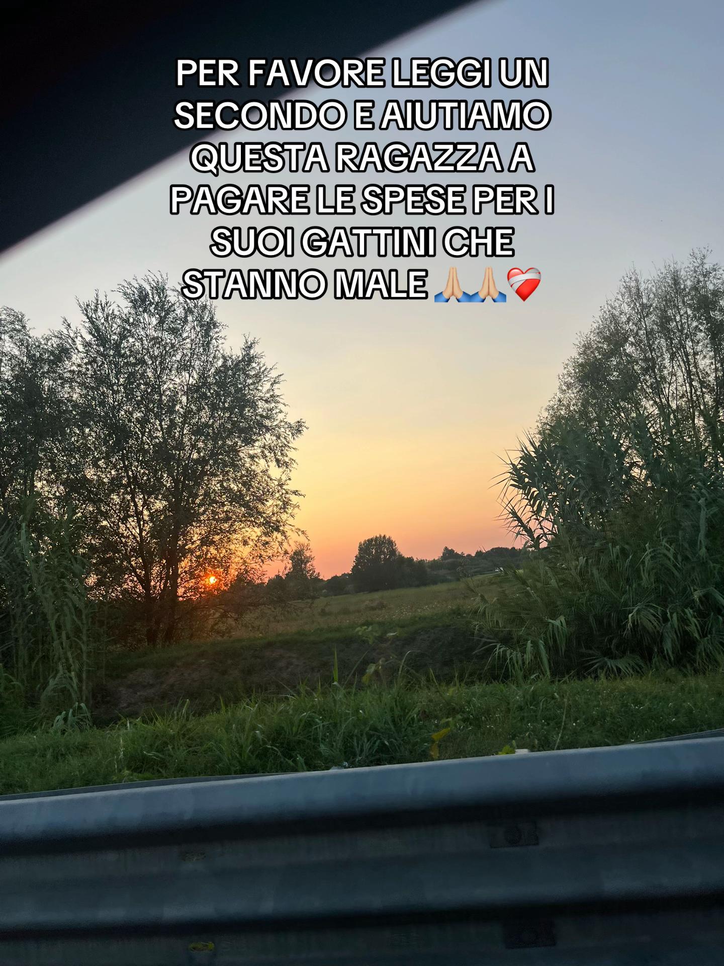 @alice_matteuccii