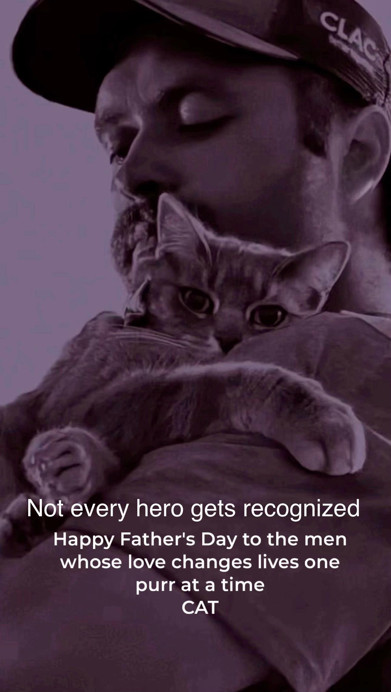 @North Toronto Cat Rescue