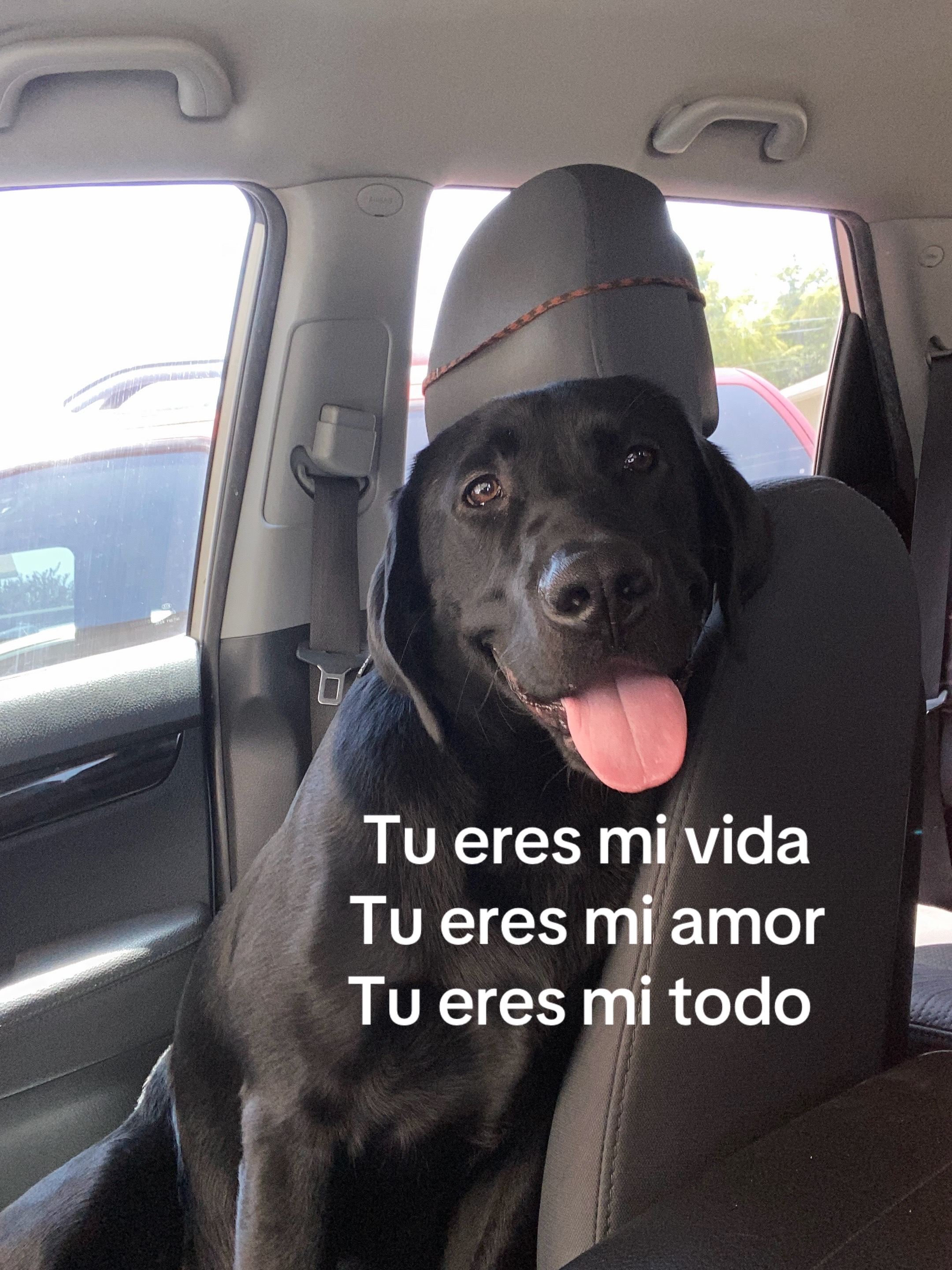 @Alexia Salas