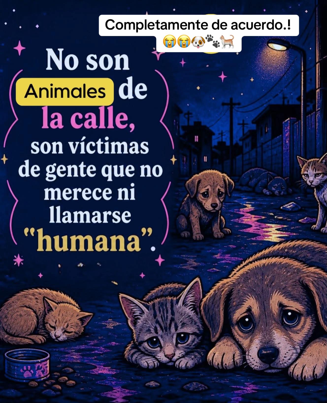 @Patricia Briceño