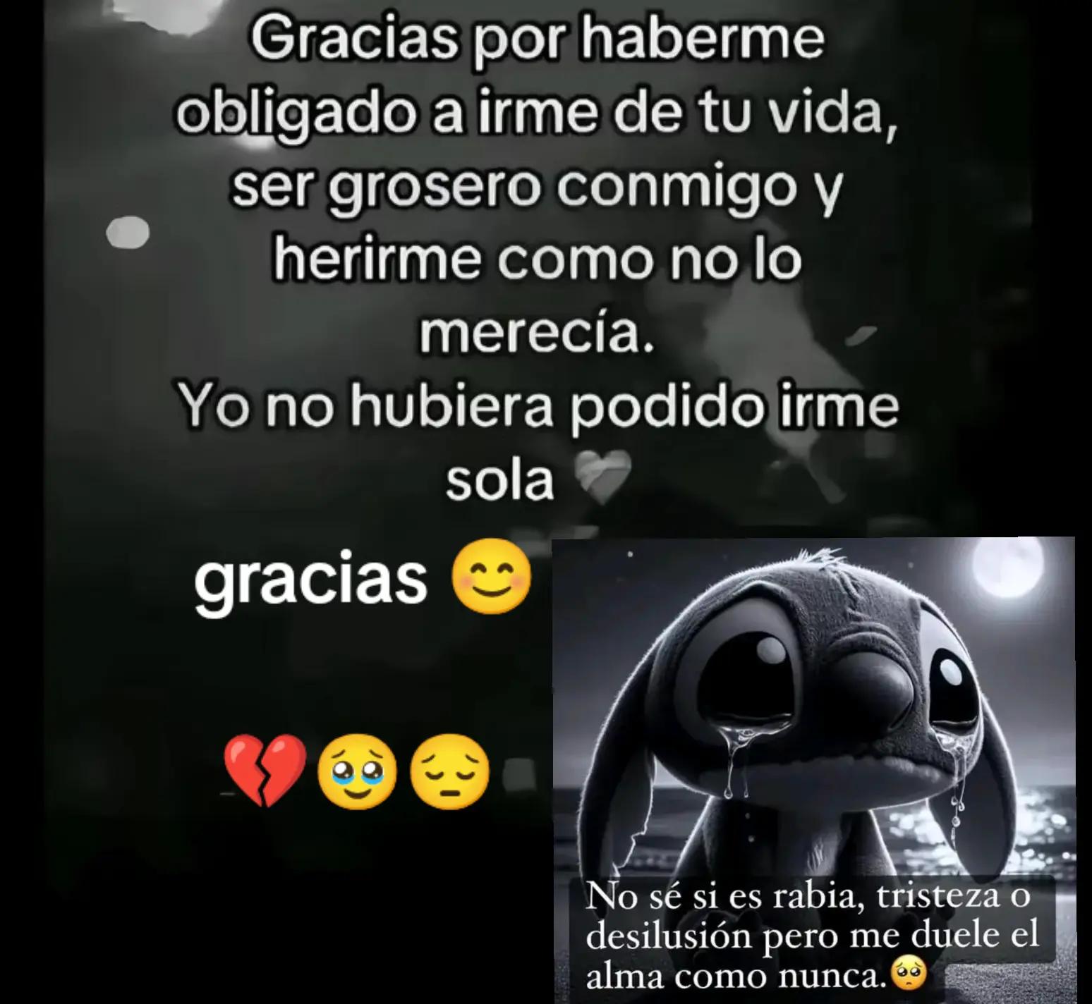@cynthia navarro