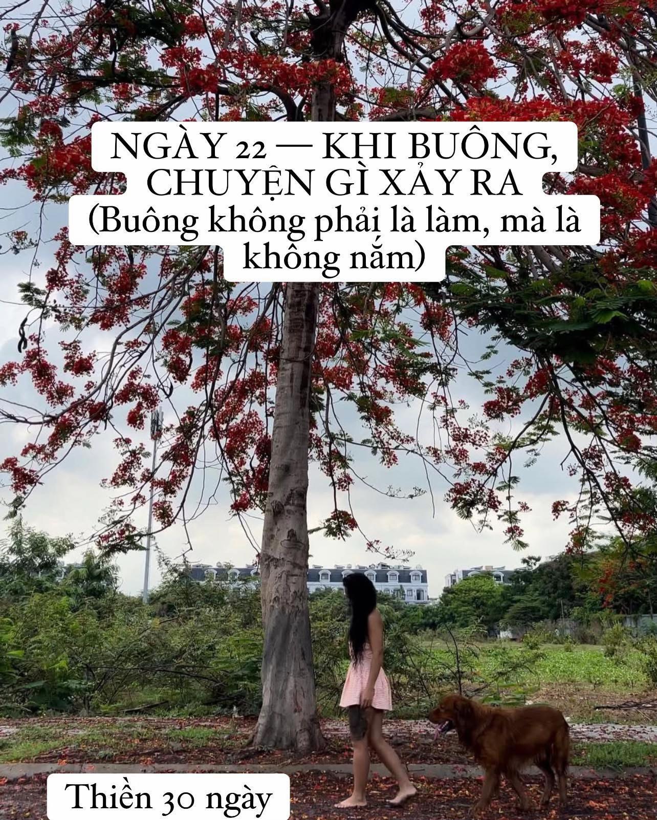 @buihoangbichtho