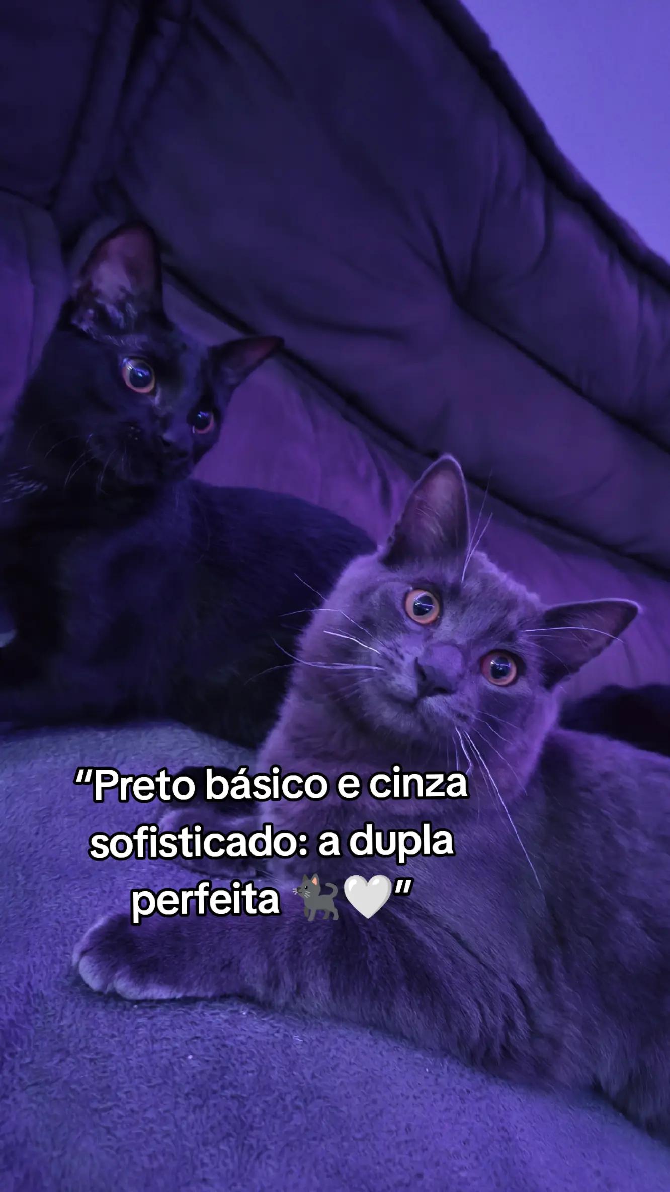 @taty_2803