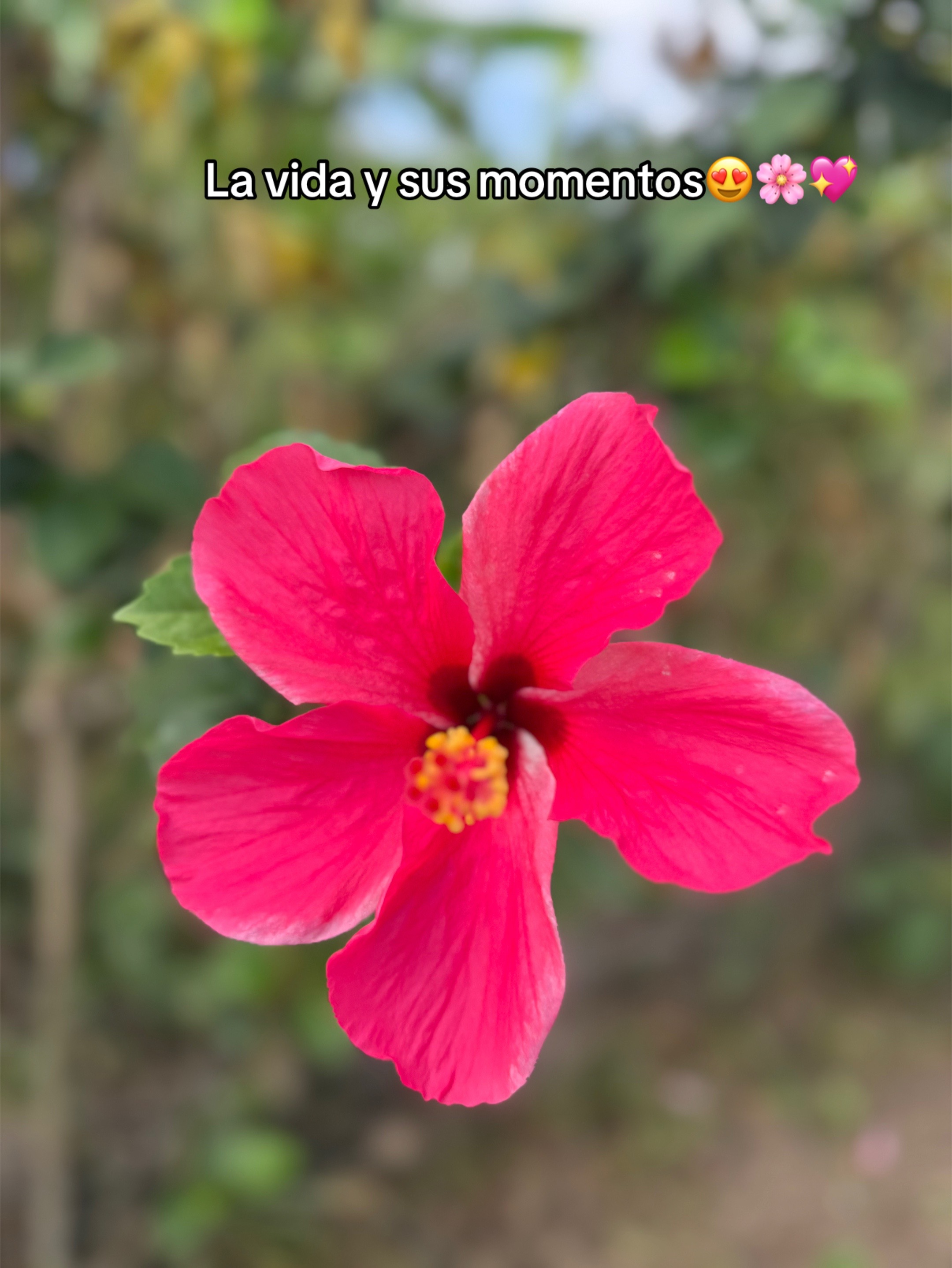 @Y🌼