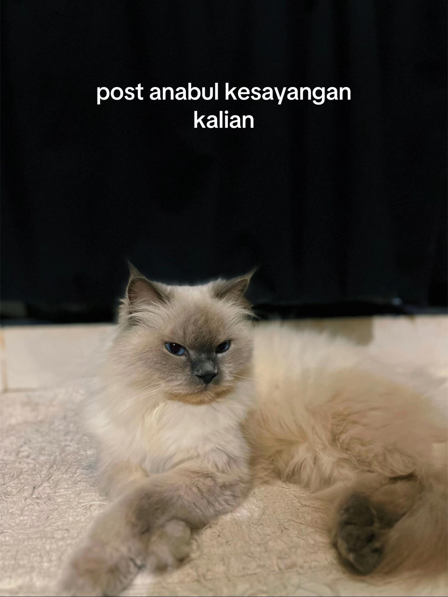 @noninoooooooooo