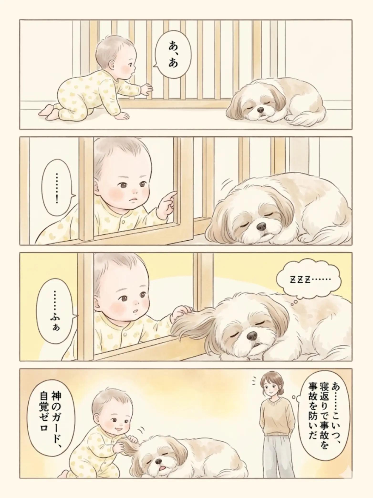 @都内のチワワ