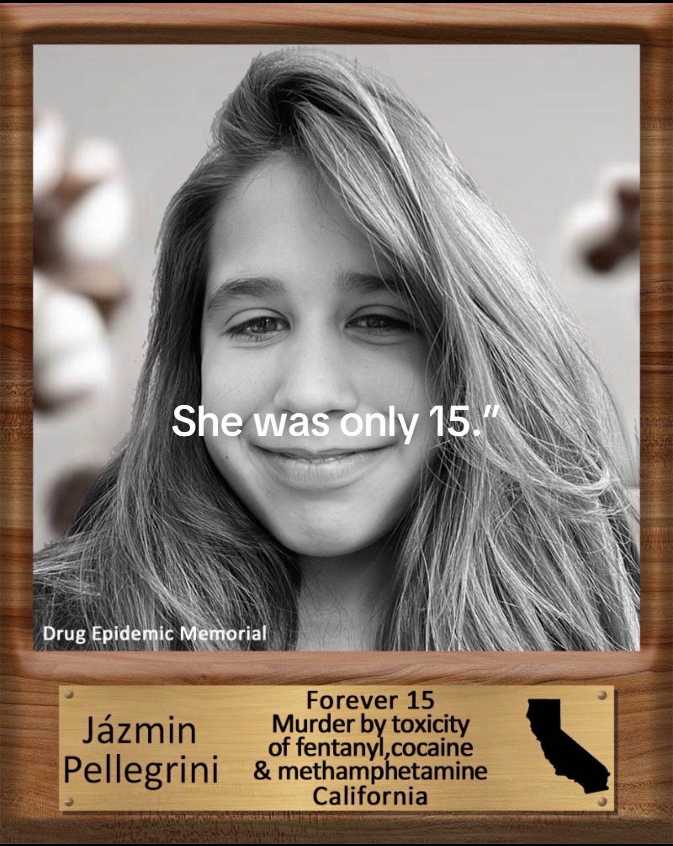 @jazminpellegrini.justice