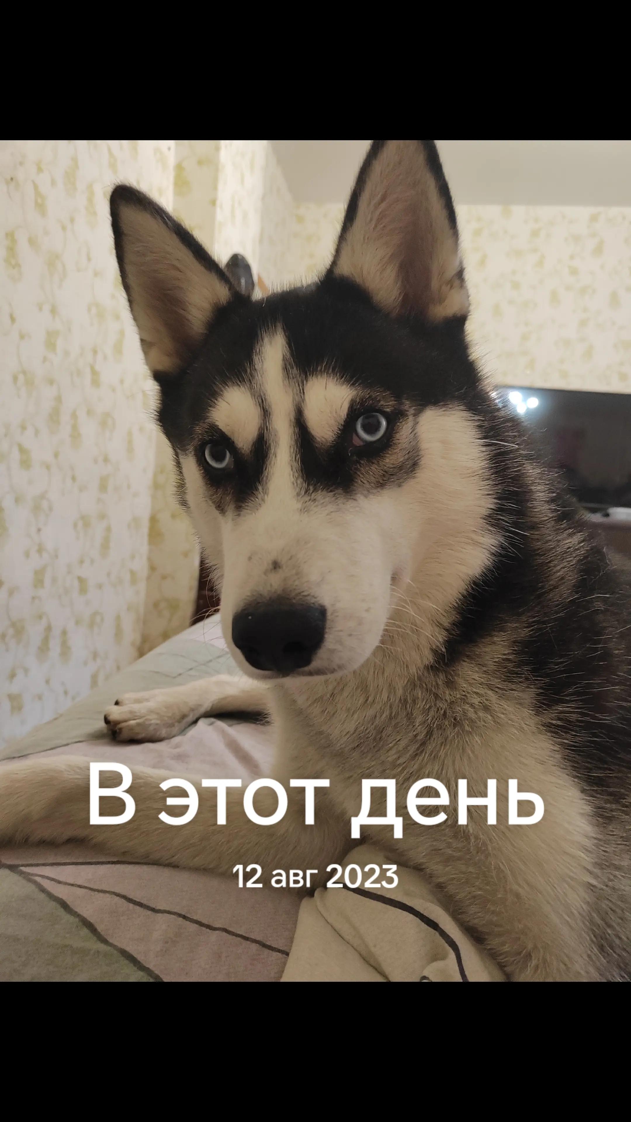 @Семён