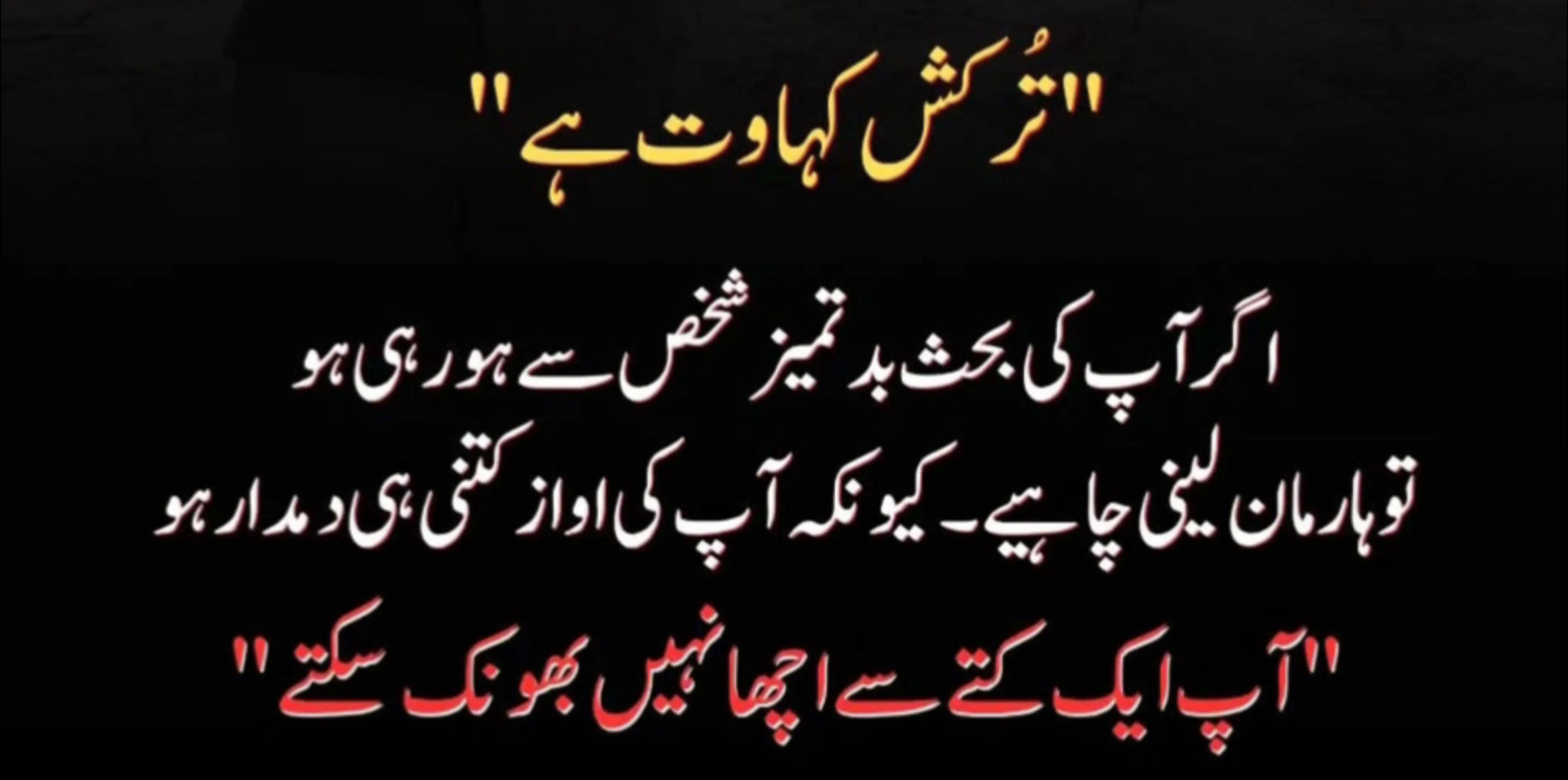@zar_e_nayaab