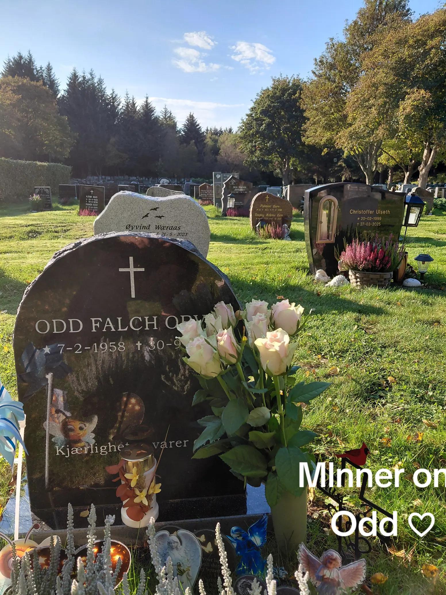 @Cecilie Falch60