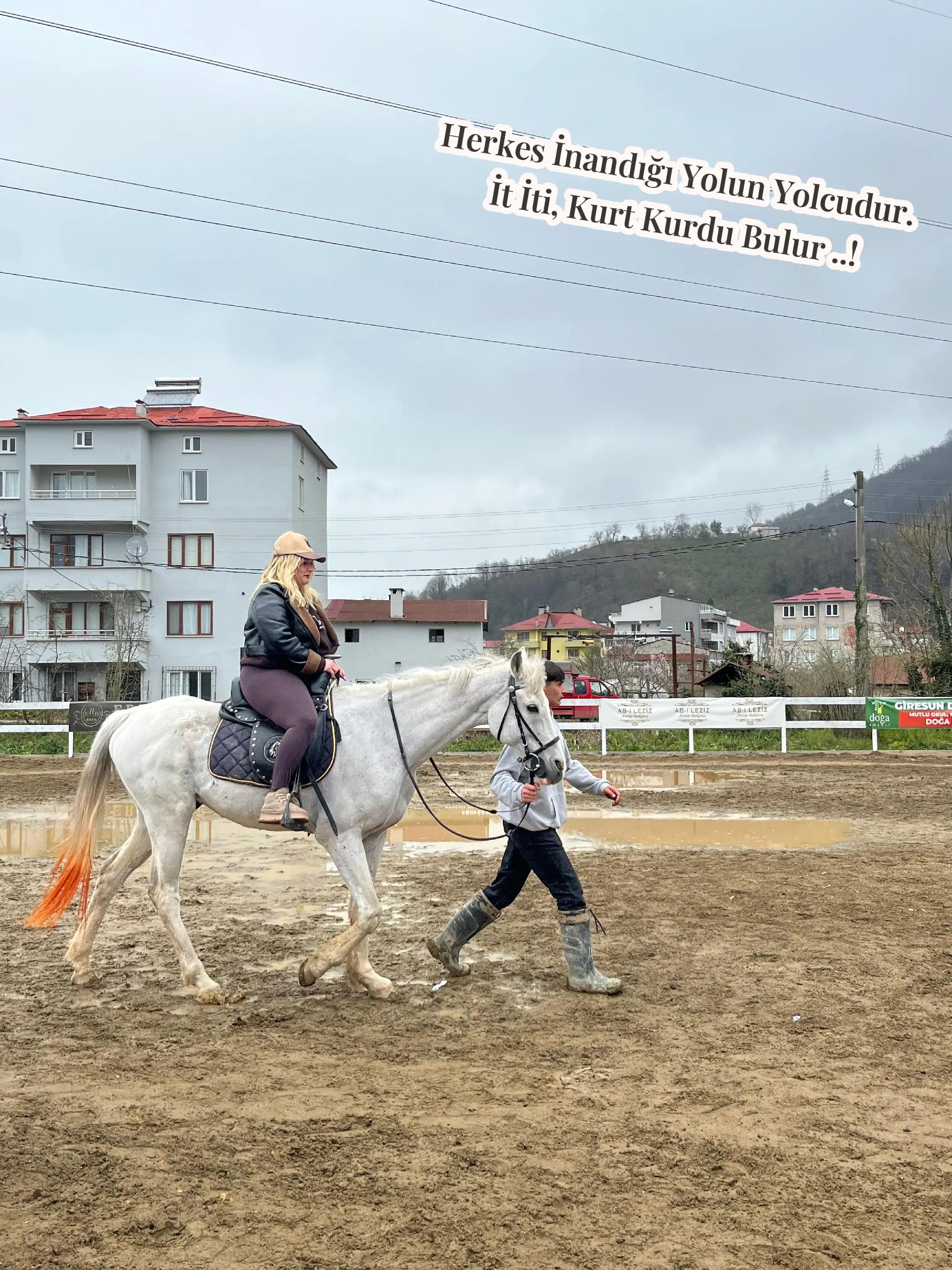 @sinoşşşşş28