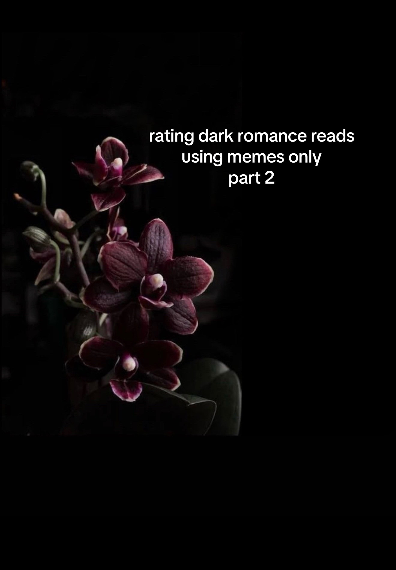 @𝕸𝖎𝖓𝖞𝖊𝖗𝖆𝕽𝖊𝖆𝖉𝖘📖🖤🥀