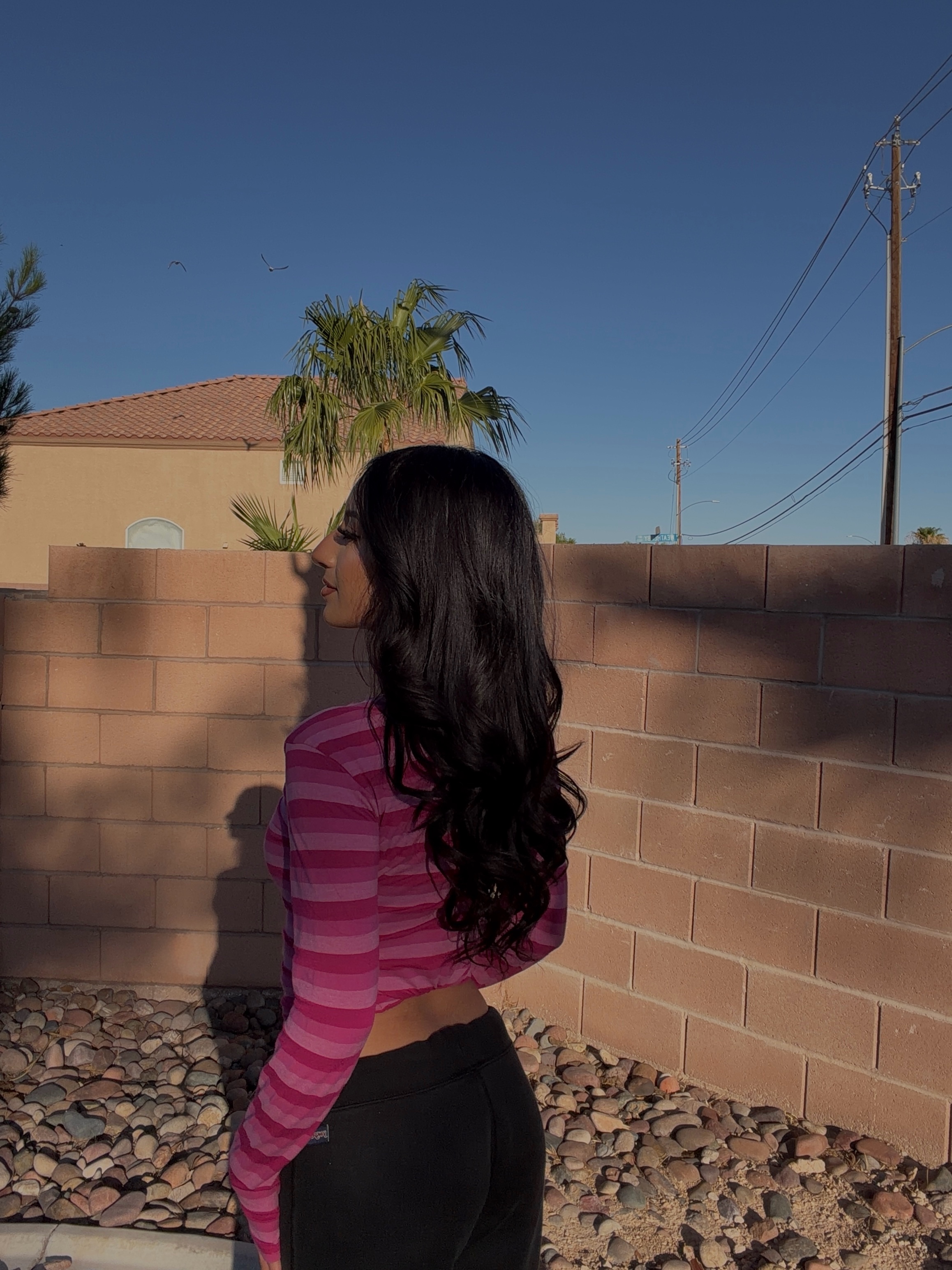 @vanessa 𓇼
