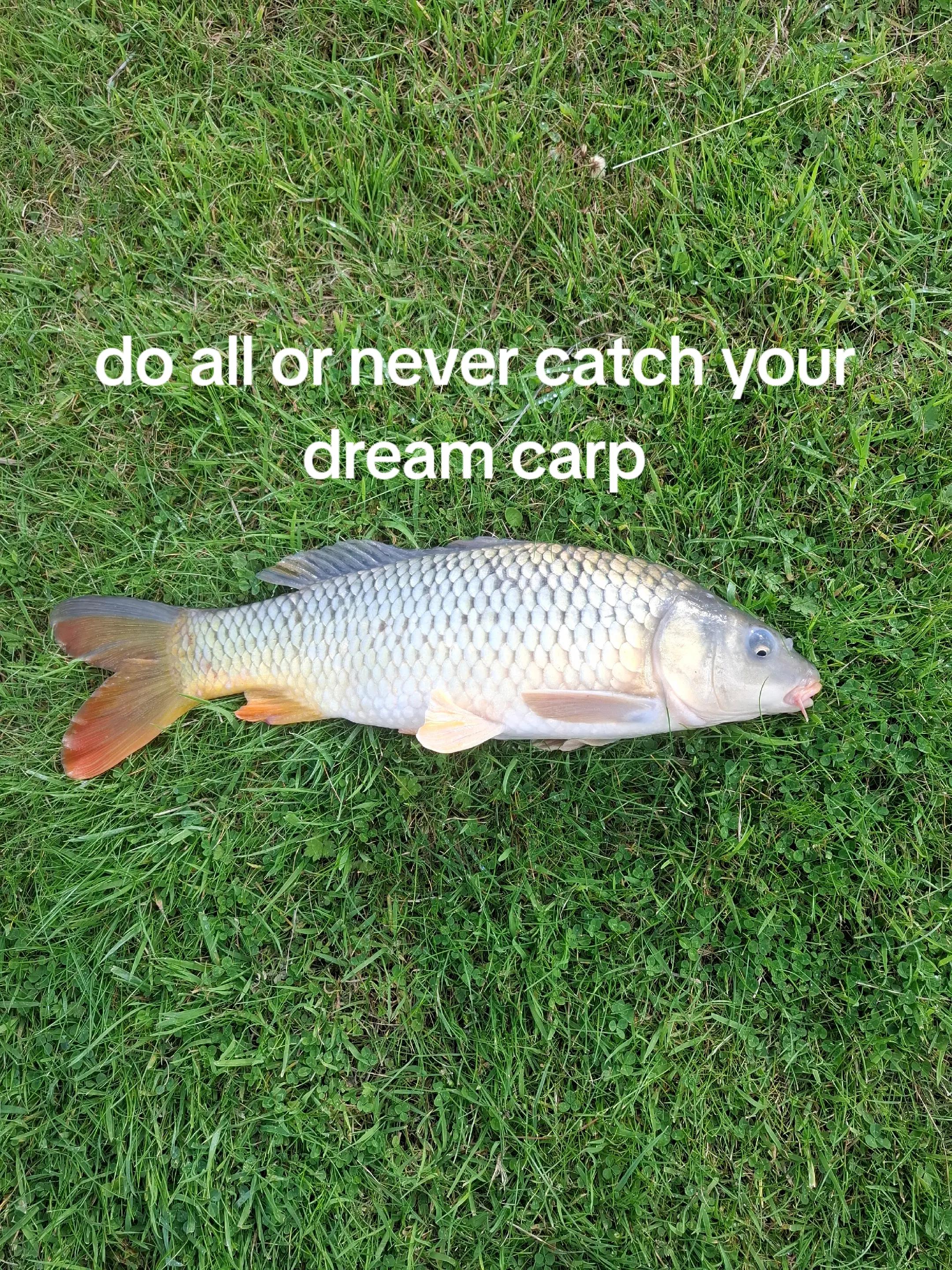 @fishing