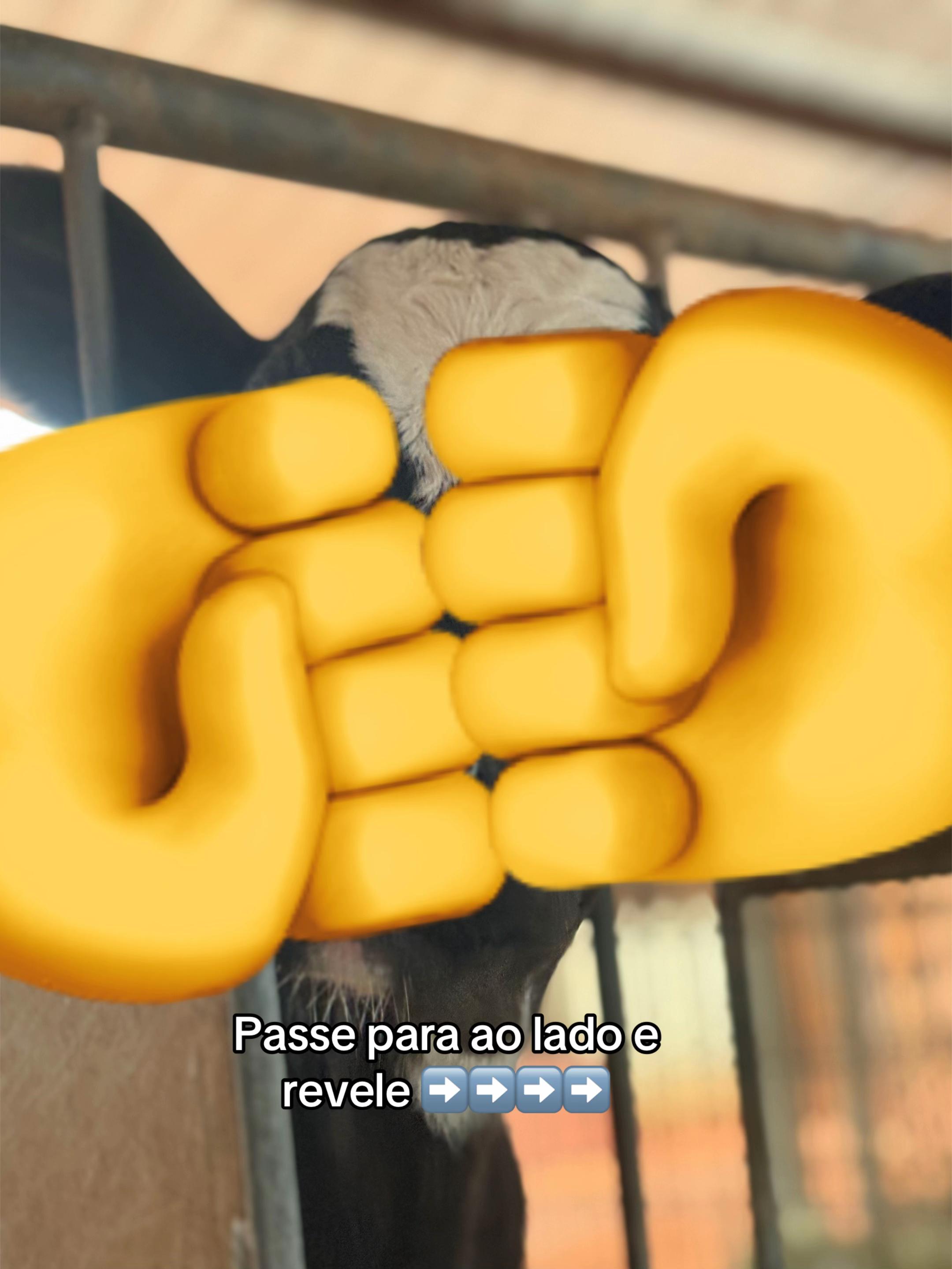 @Laura Rodrigues