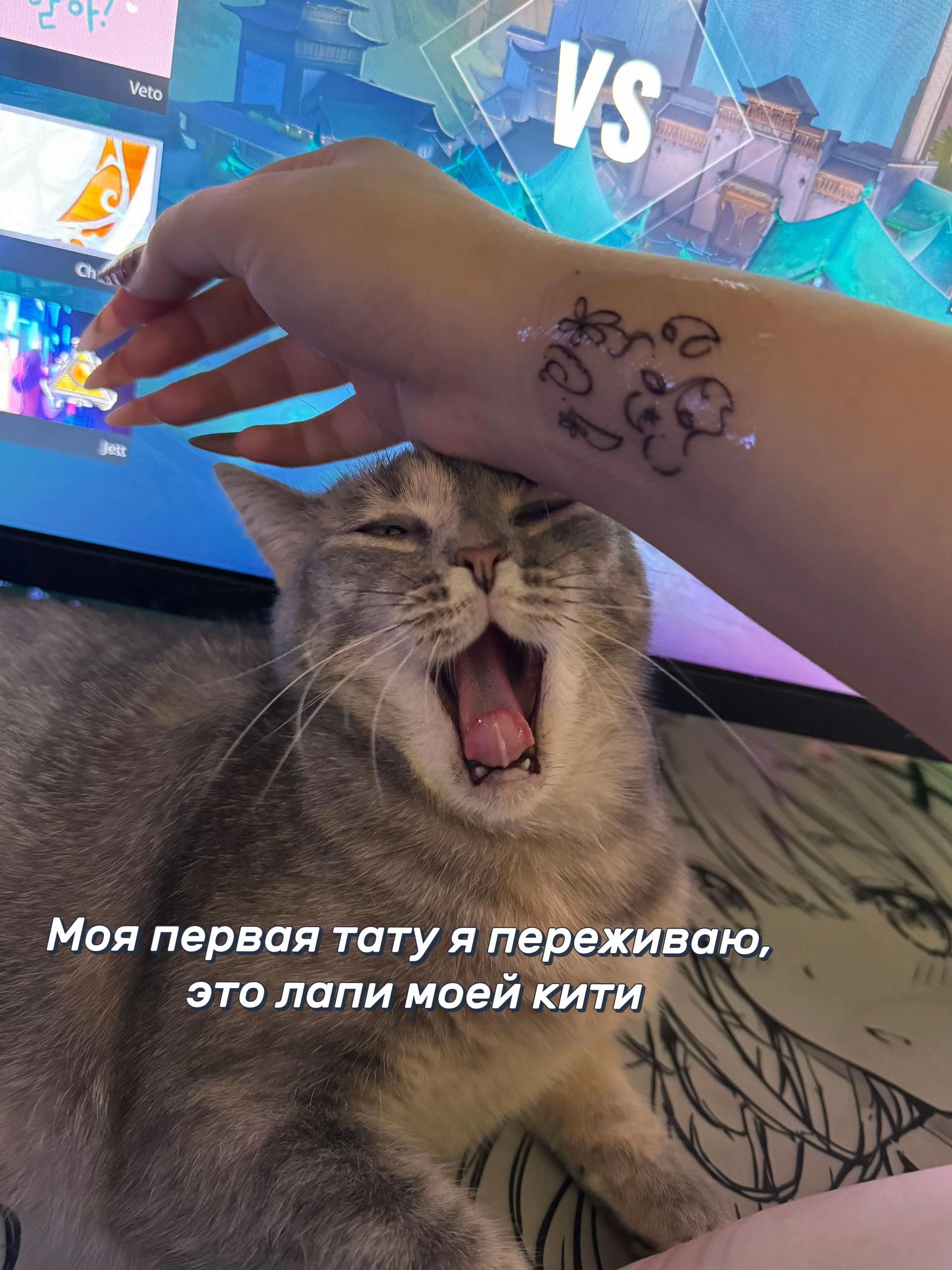 @Ferbi