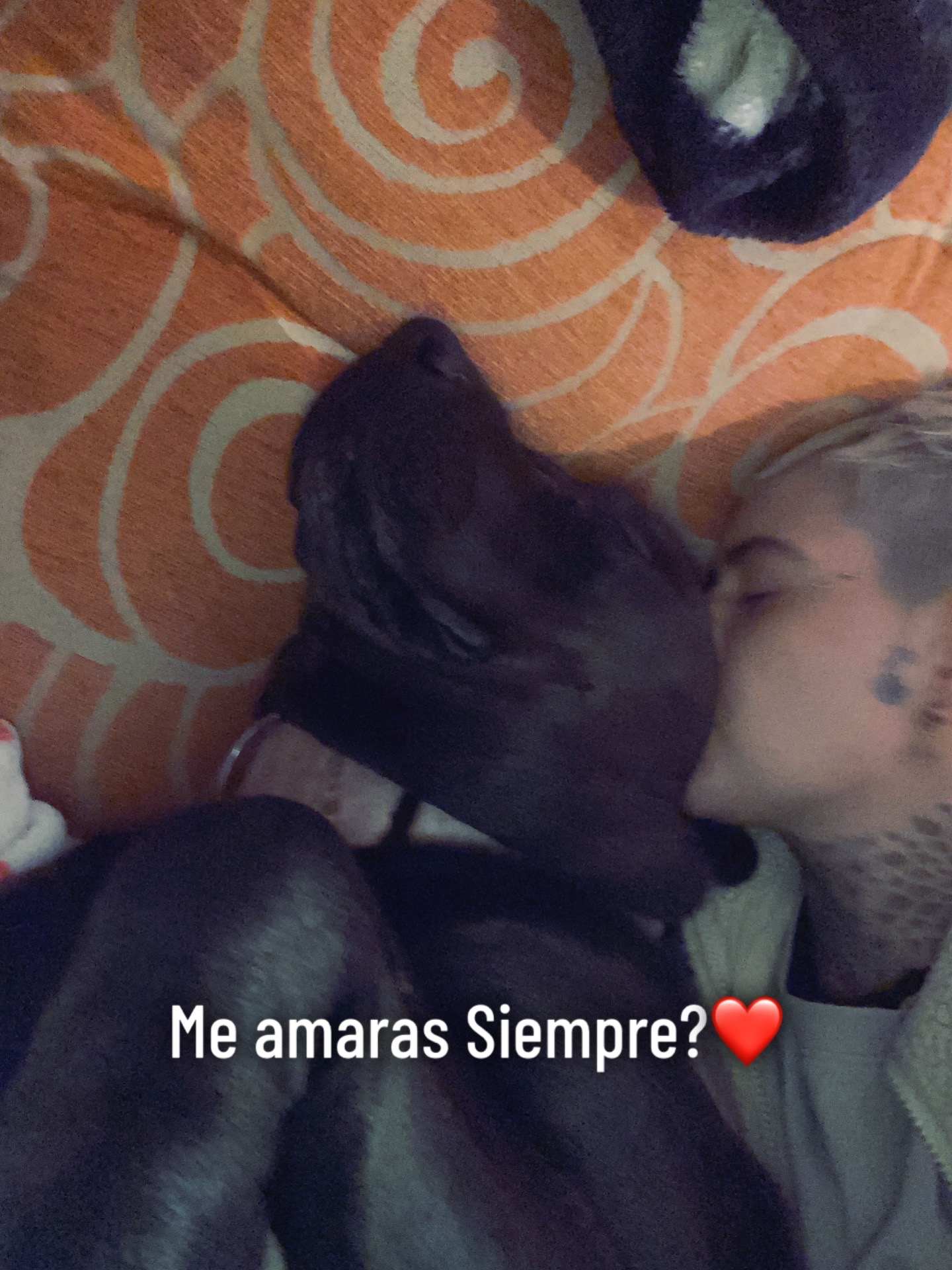 @ANDREE 👑