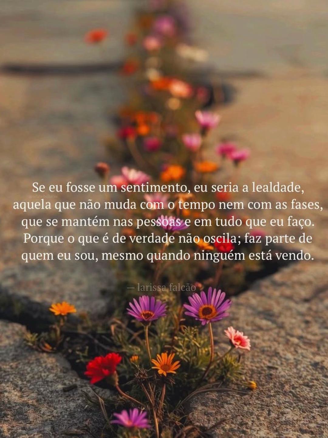 @77Sophia9