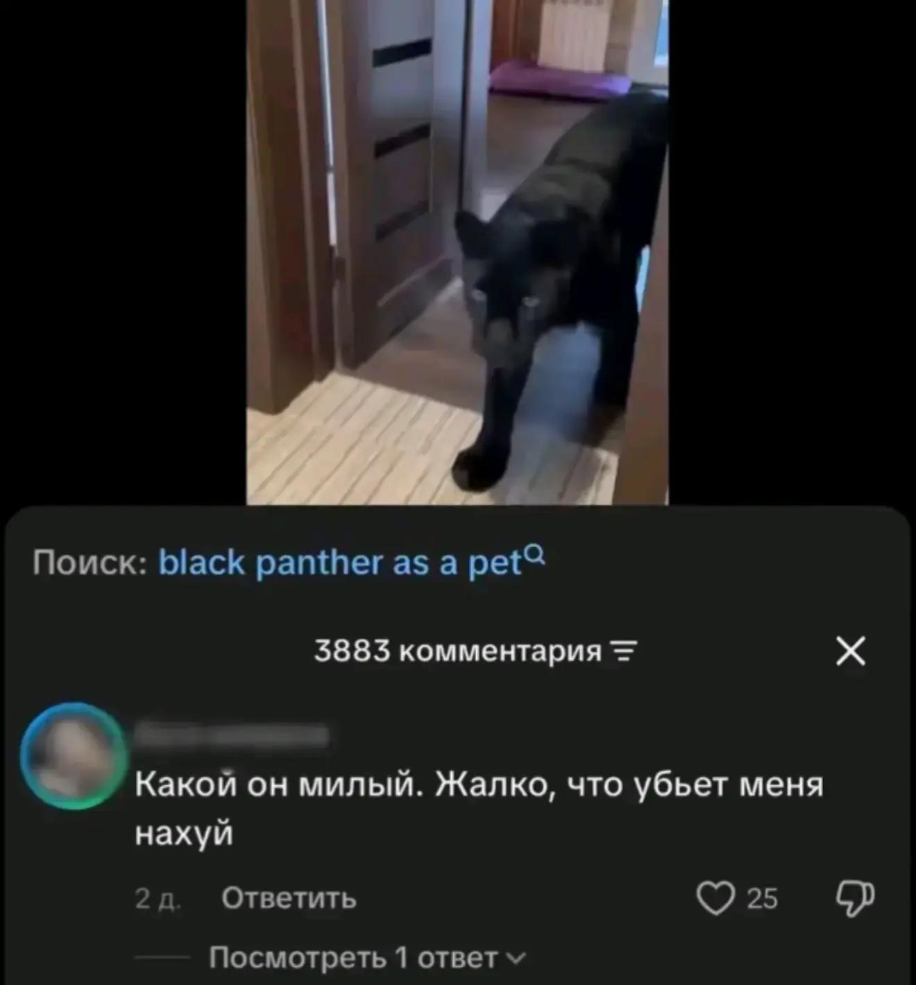 @ᴋᴜʀᴀᴍᴀ