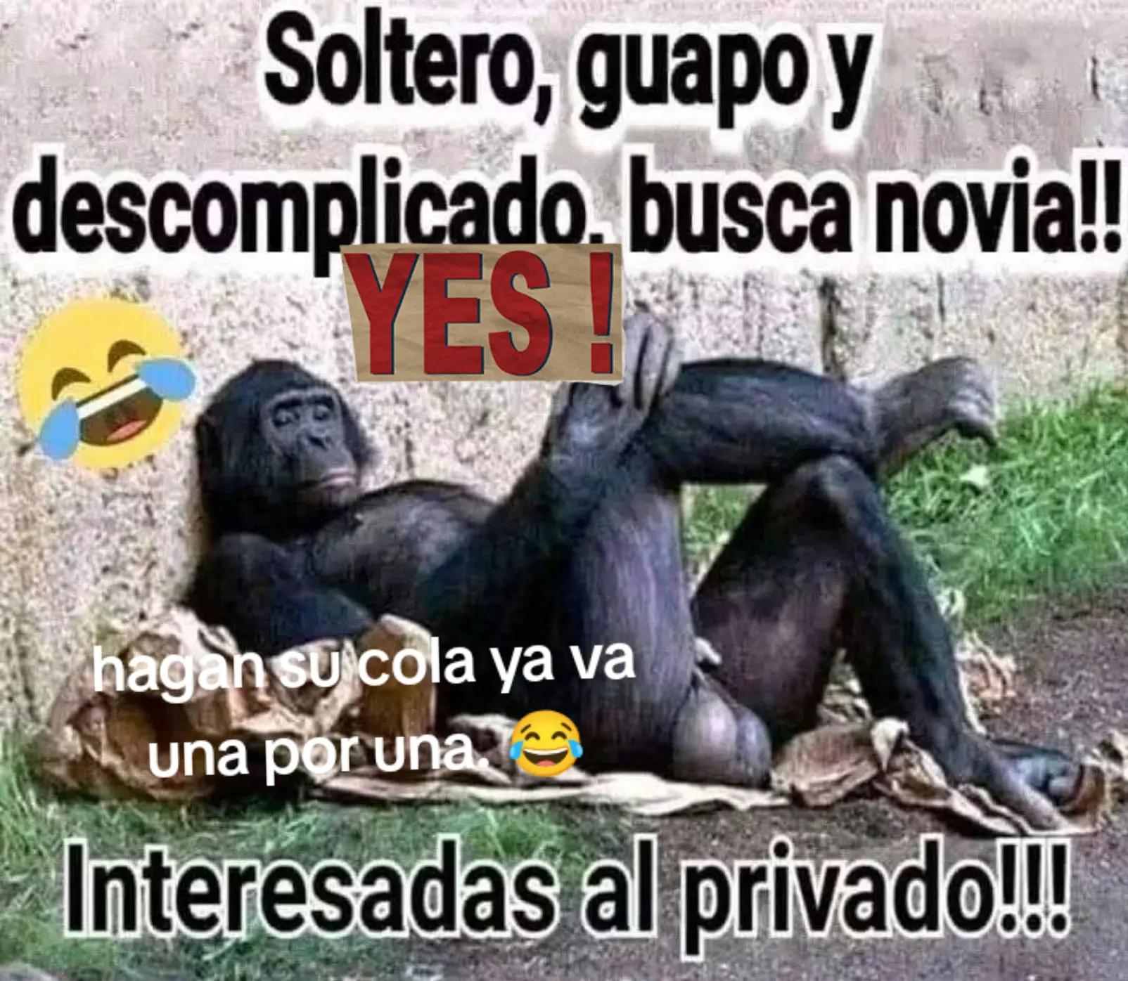 @𝕐𝕦𝕟𝕚𝕧𝕖𝕣 𝕁𝕠𝕤&eacute;
