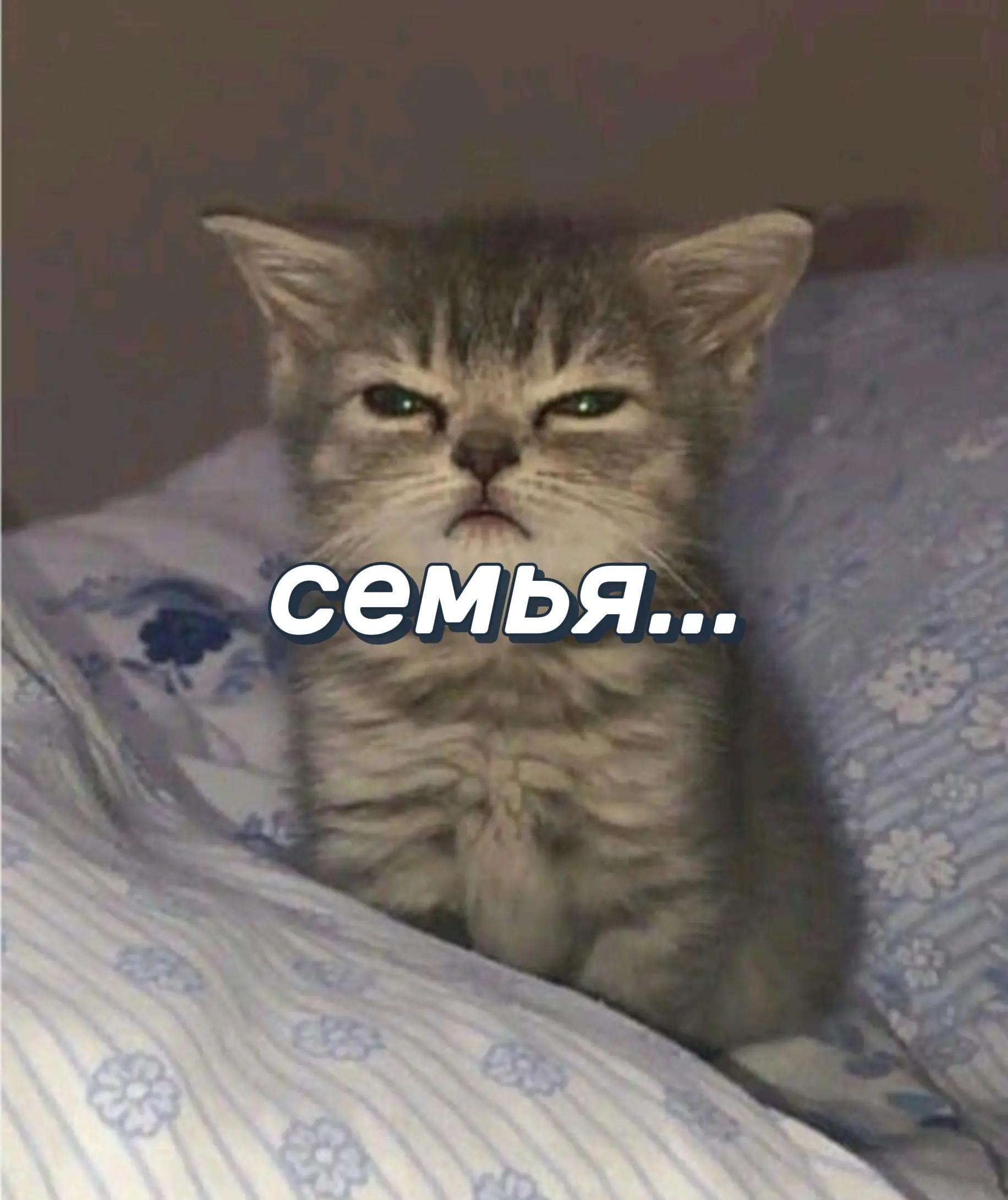 @(✿ ◕‿◕)𝕮𝖔ня