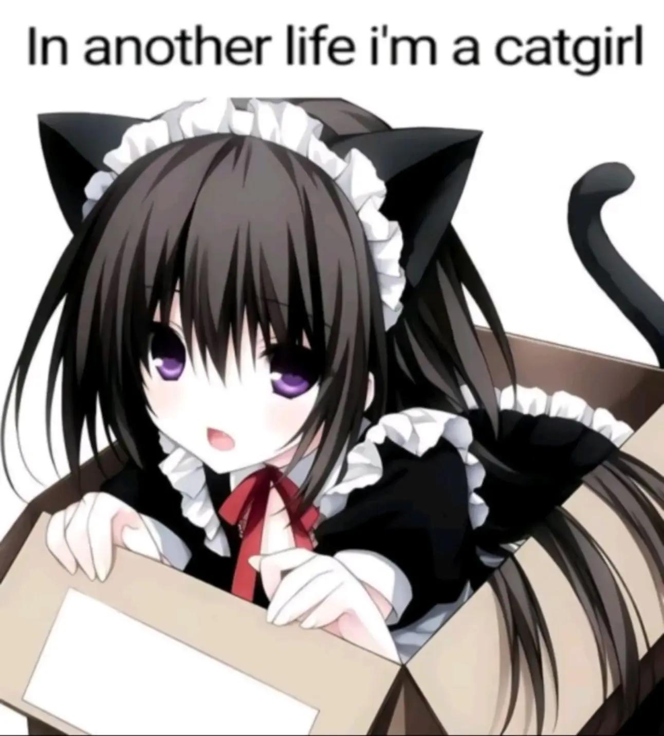 @⋆.𐙚 ̊ ꒰ 𝐦𝐞𝐢 ꒱ 𐙚