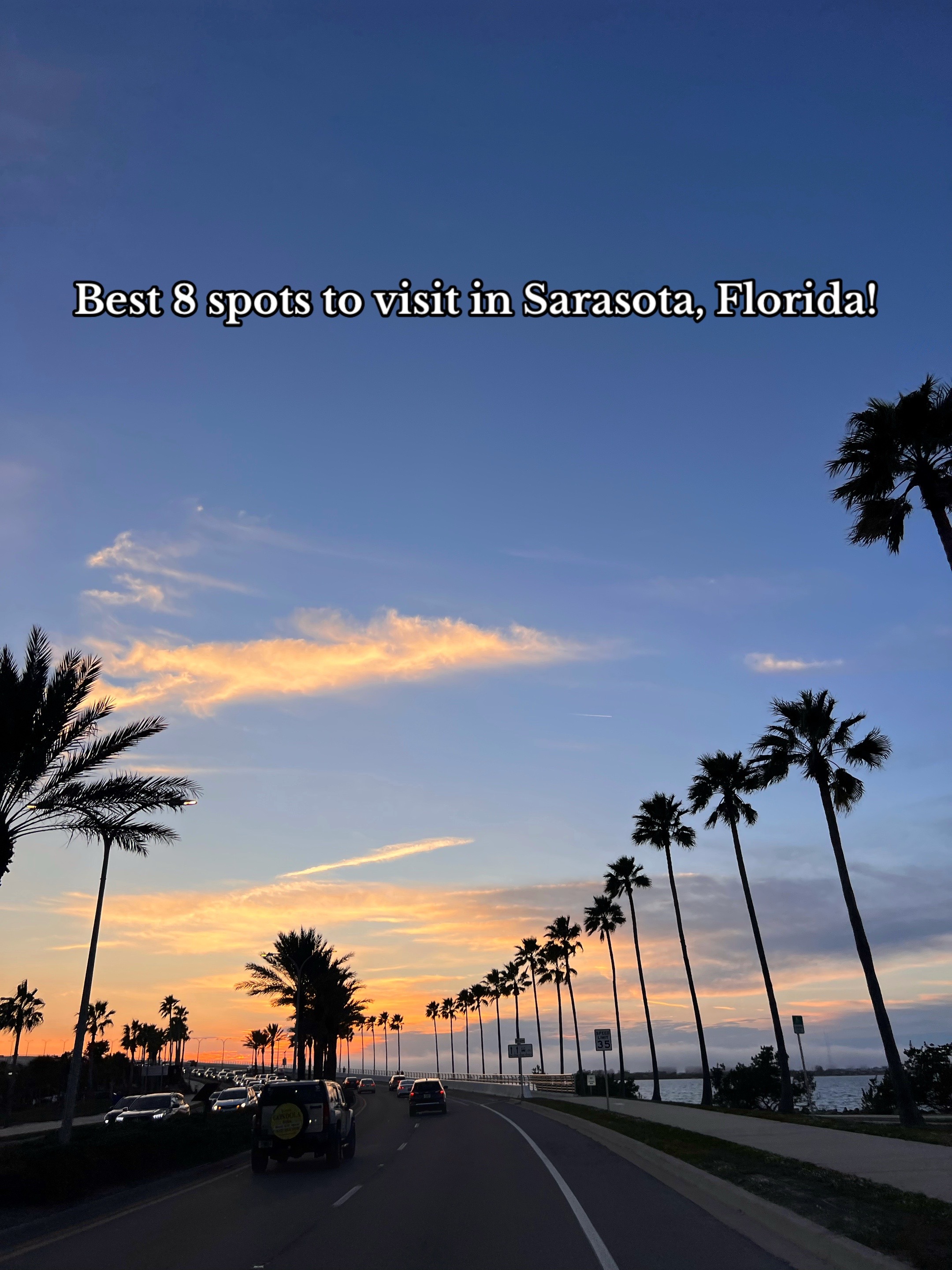 @lily || fl lifestyle & travel