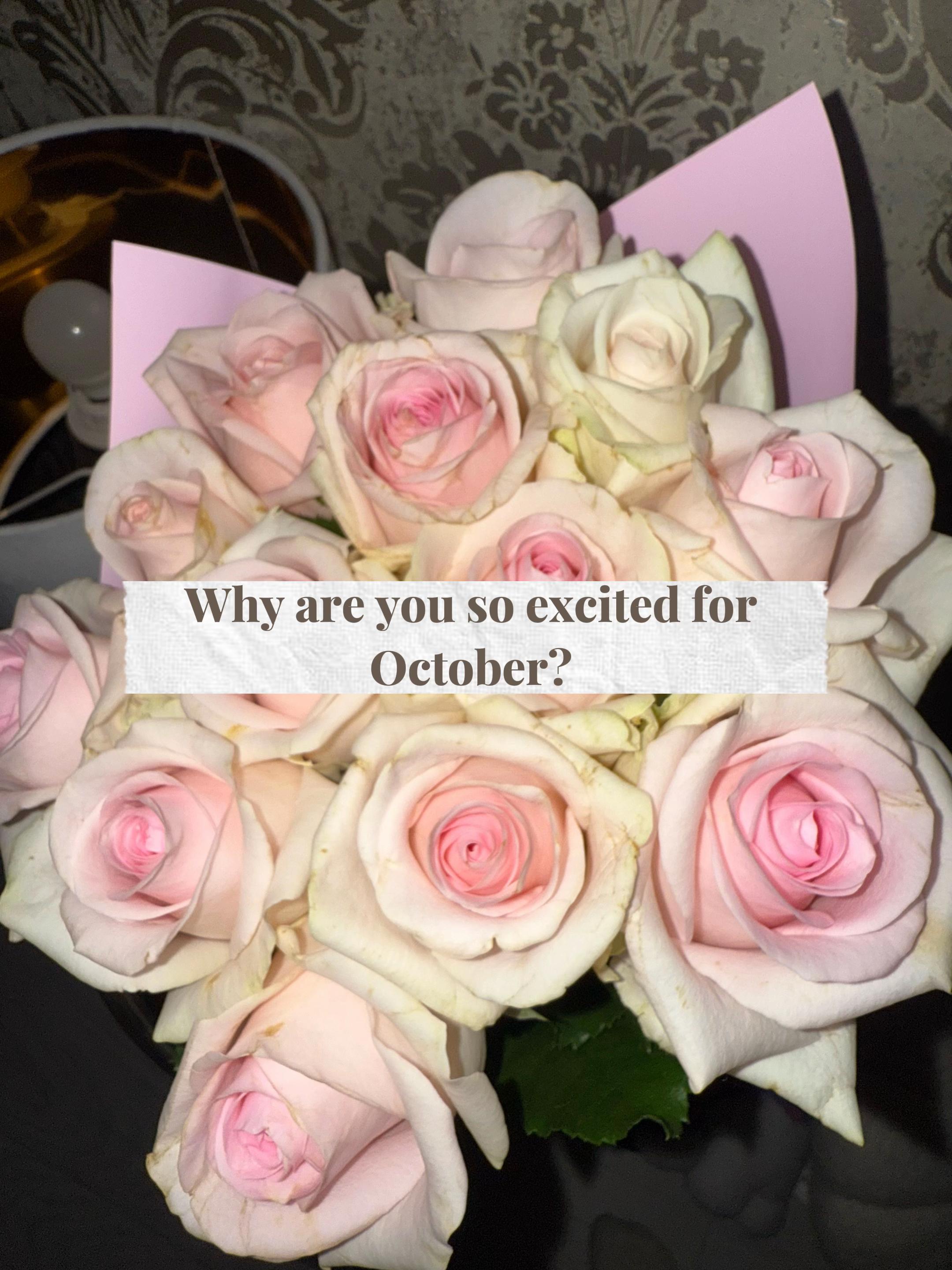 @Charlotte ♡