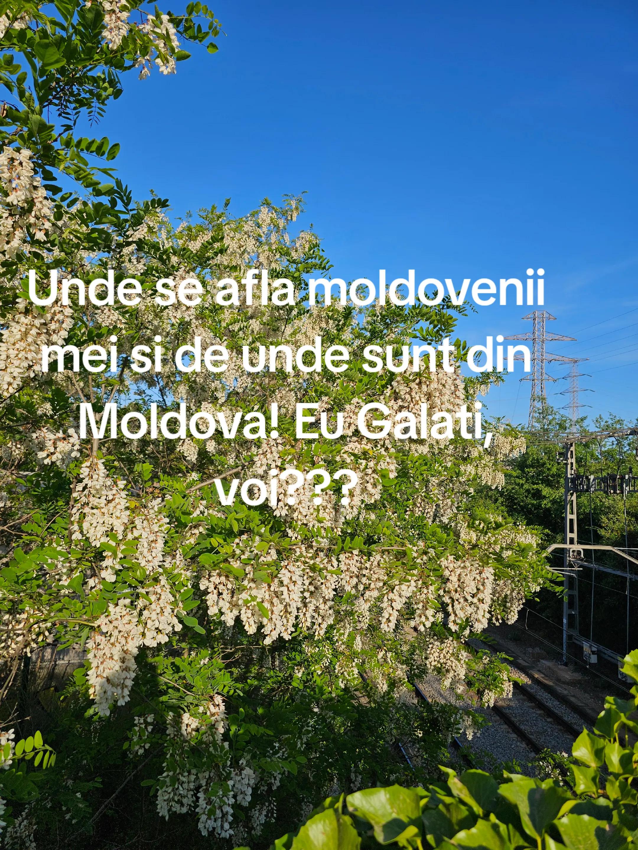@getapalade