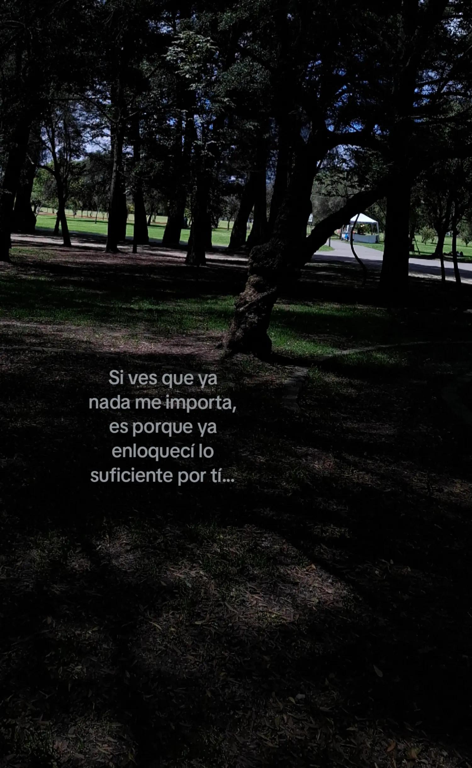 @𝐹𝑒𝑟𝑛𝑎𝑛𝑑𝑎 🌷