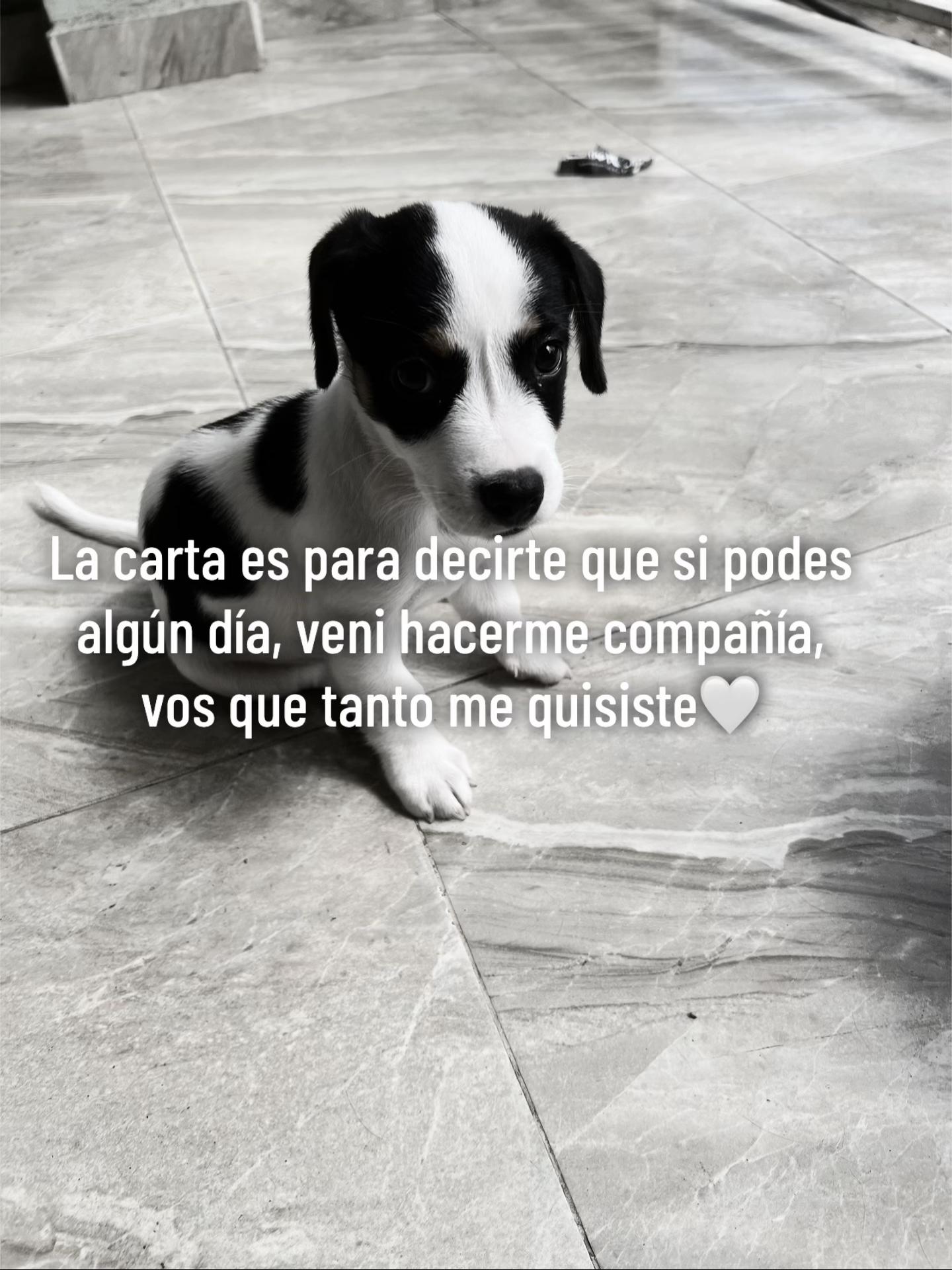 @Andrea Fernandez