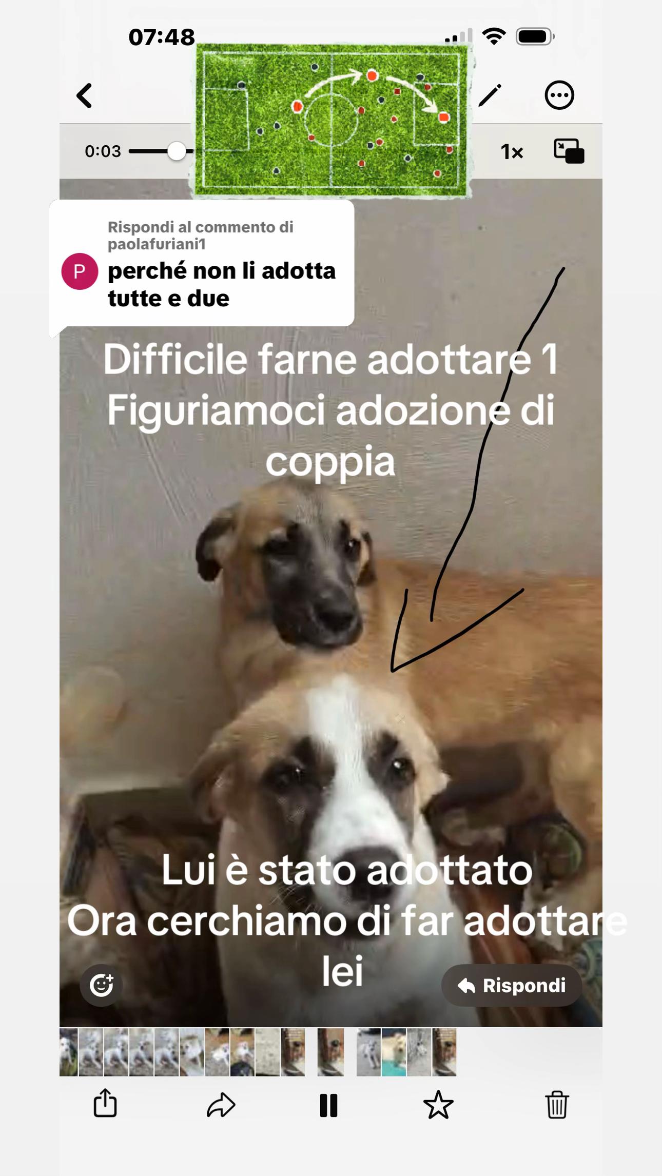 @I randagi di nessuno