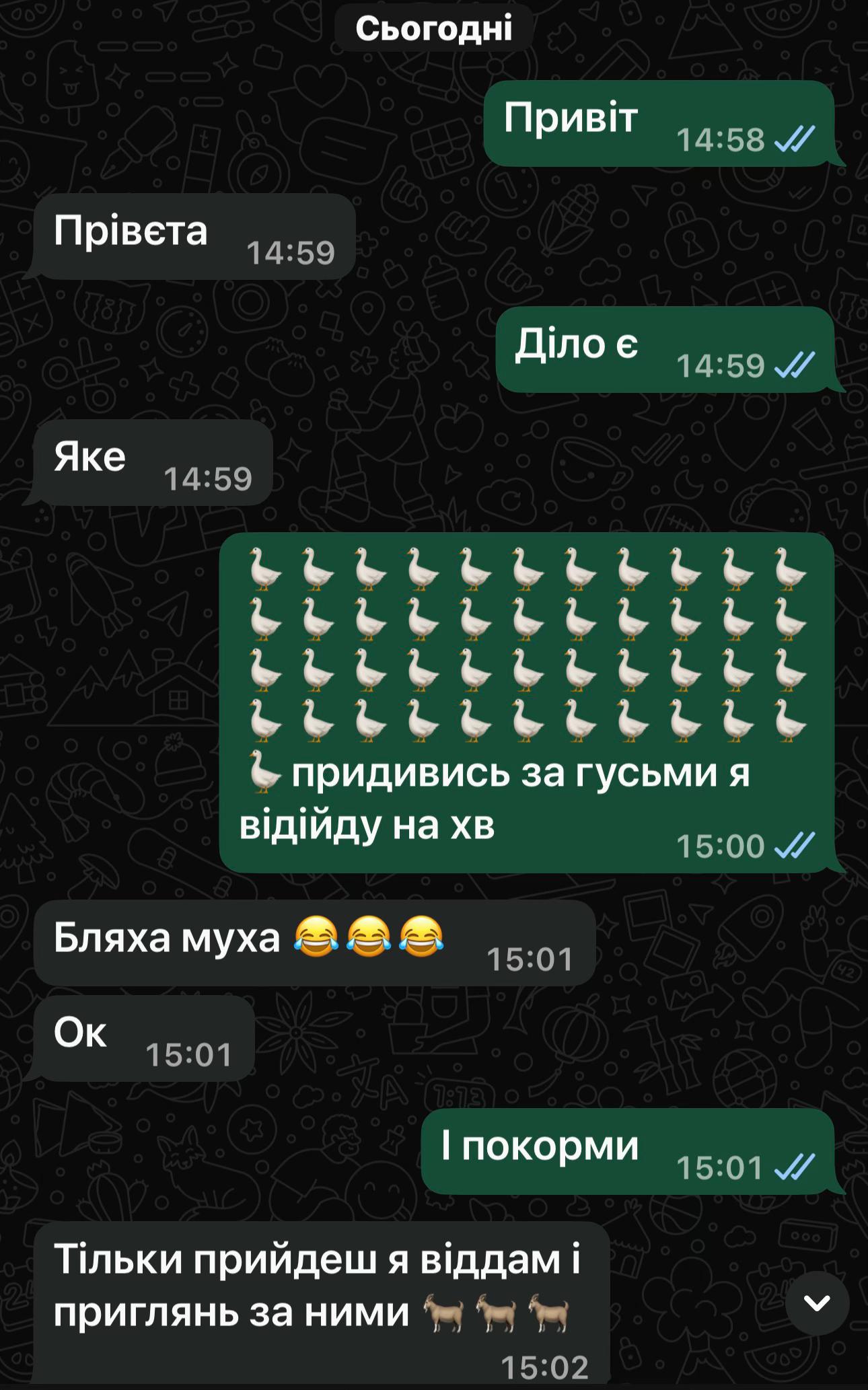 @_kapusto4ka_33.ua