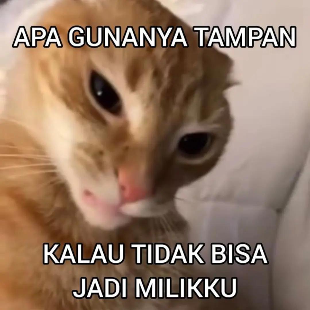@imsehun