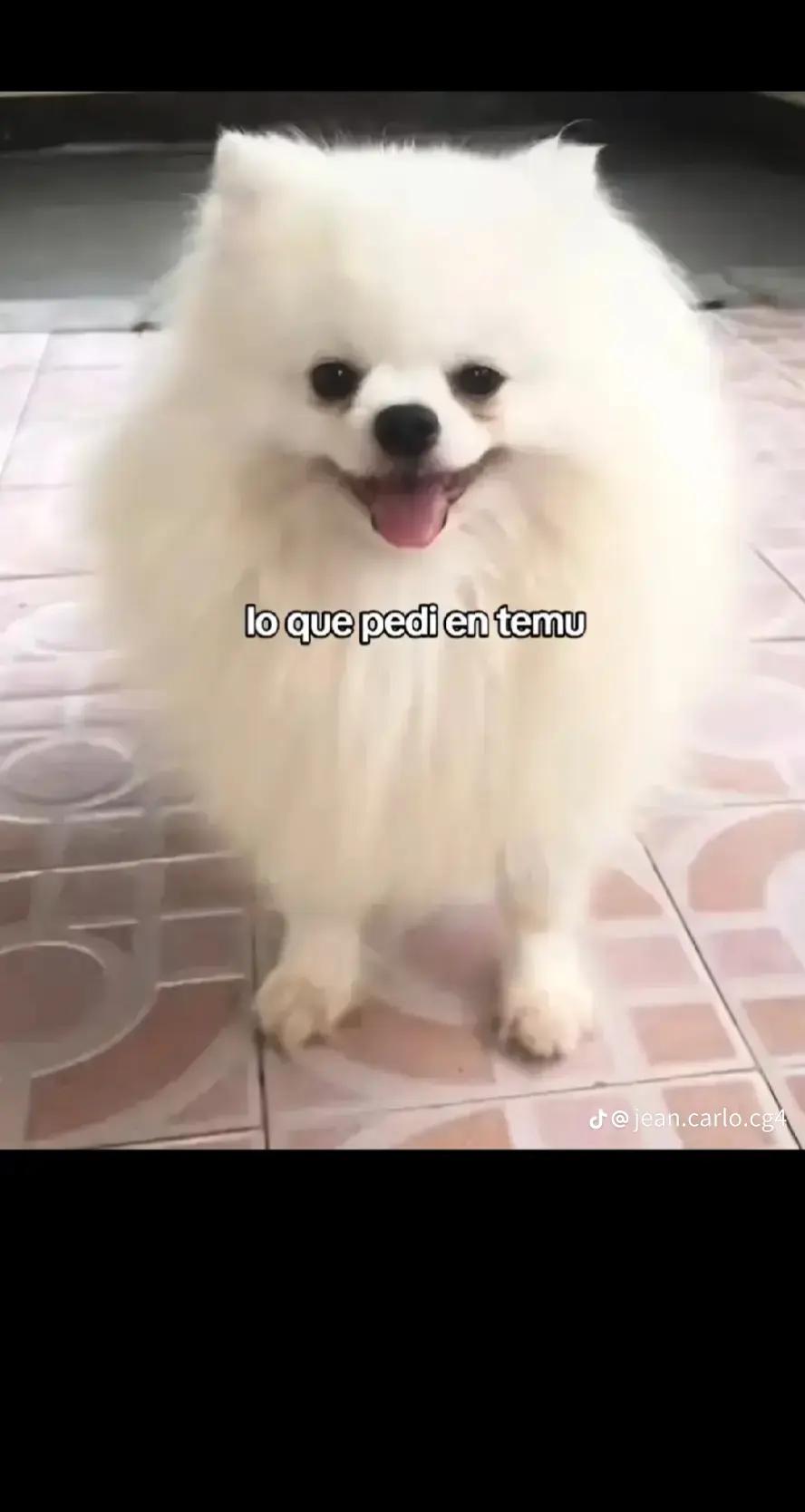 @DYLAN🤷