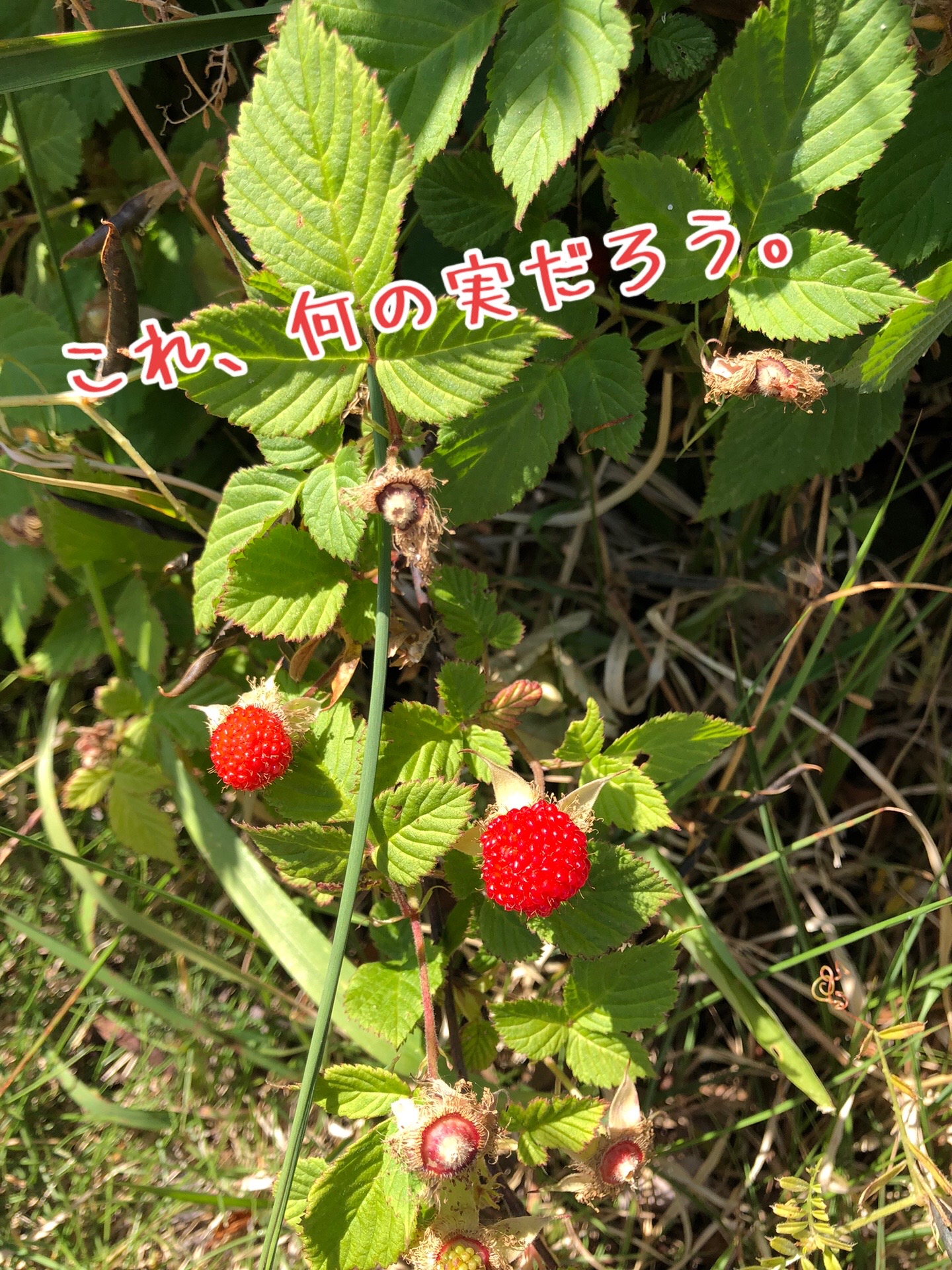 @miyuki._.2426