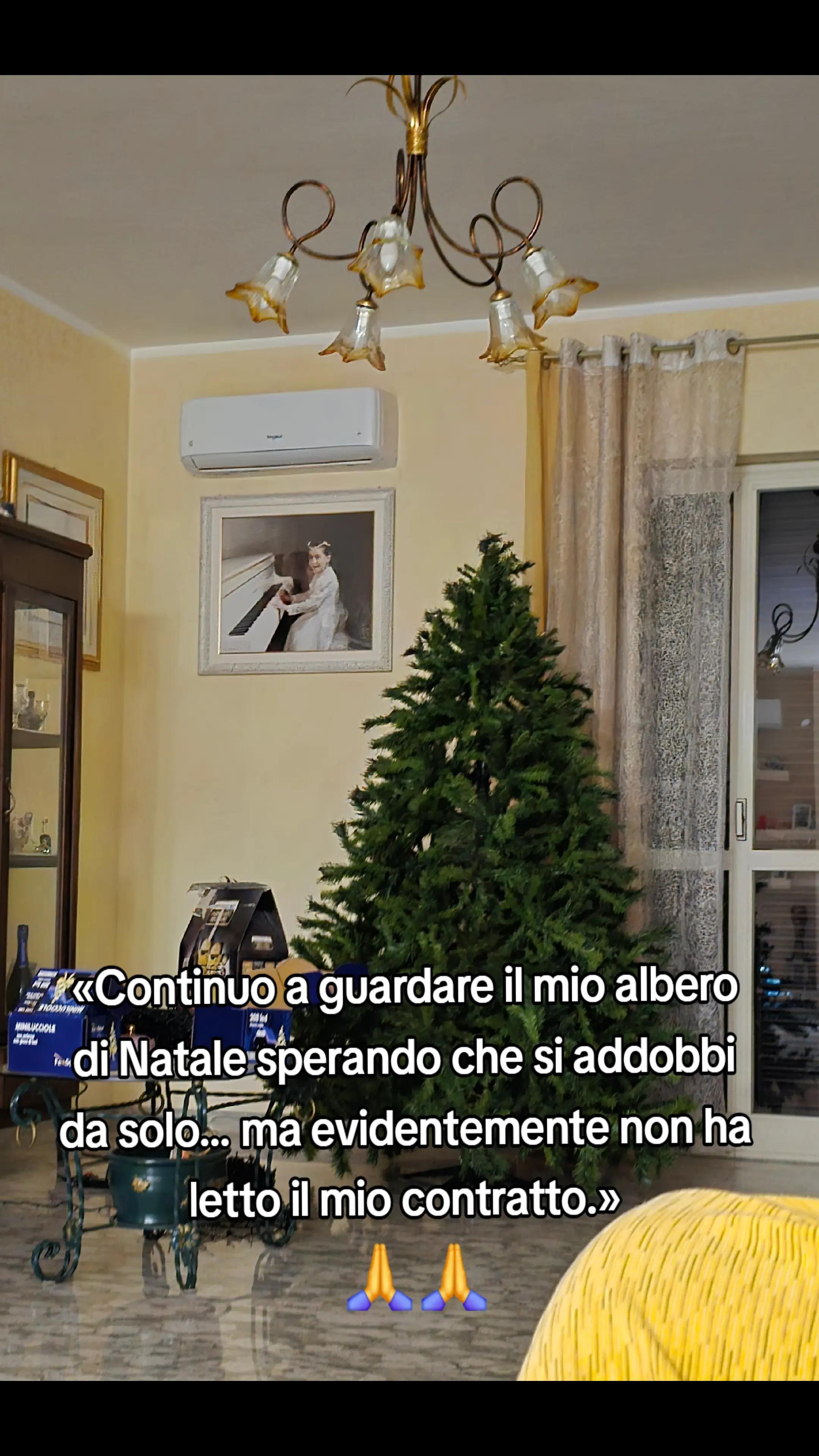 @Maria Teresa Commisso