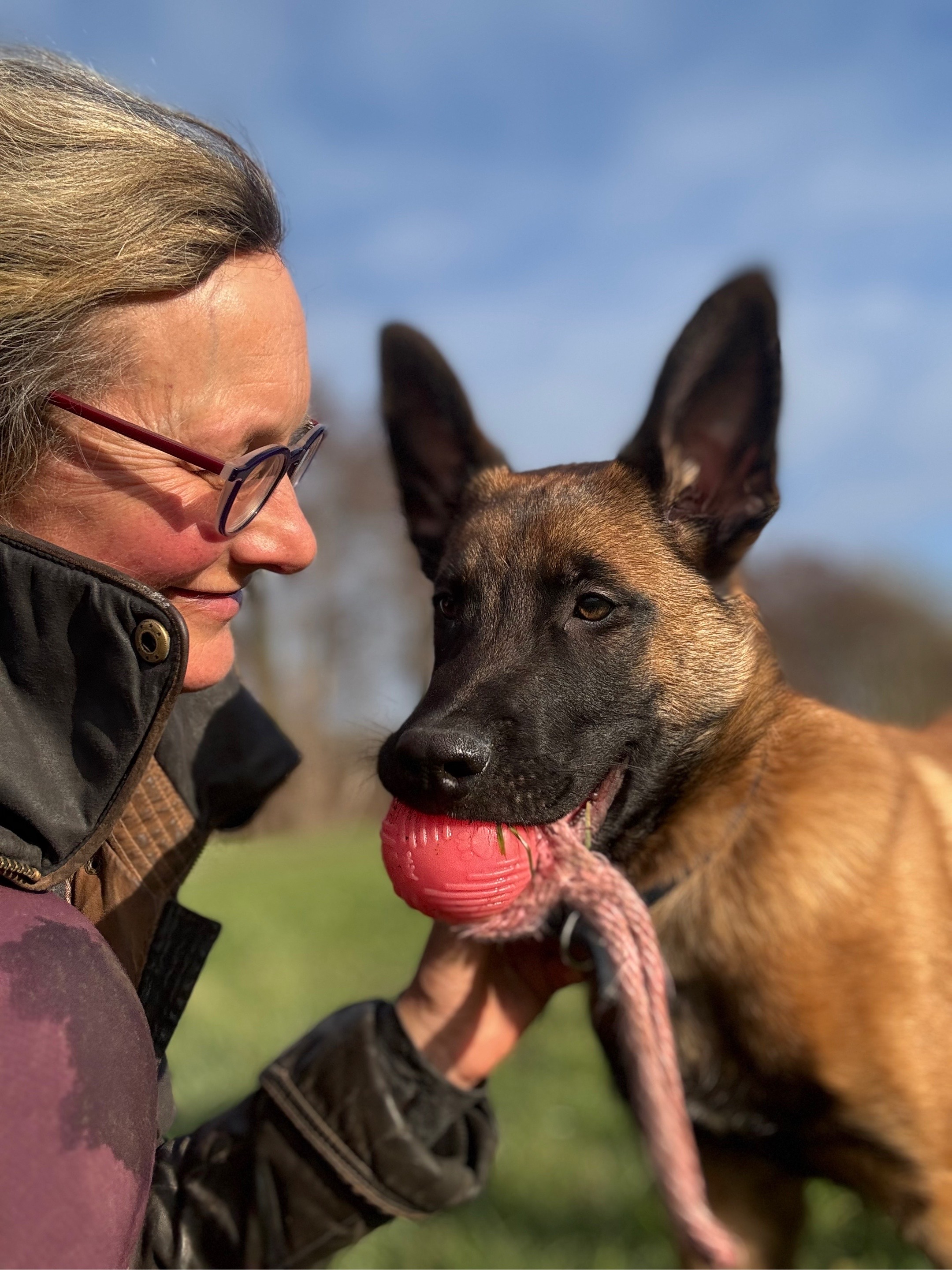 @thedogsportscoach