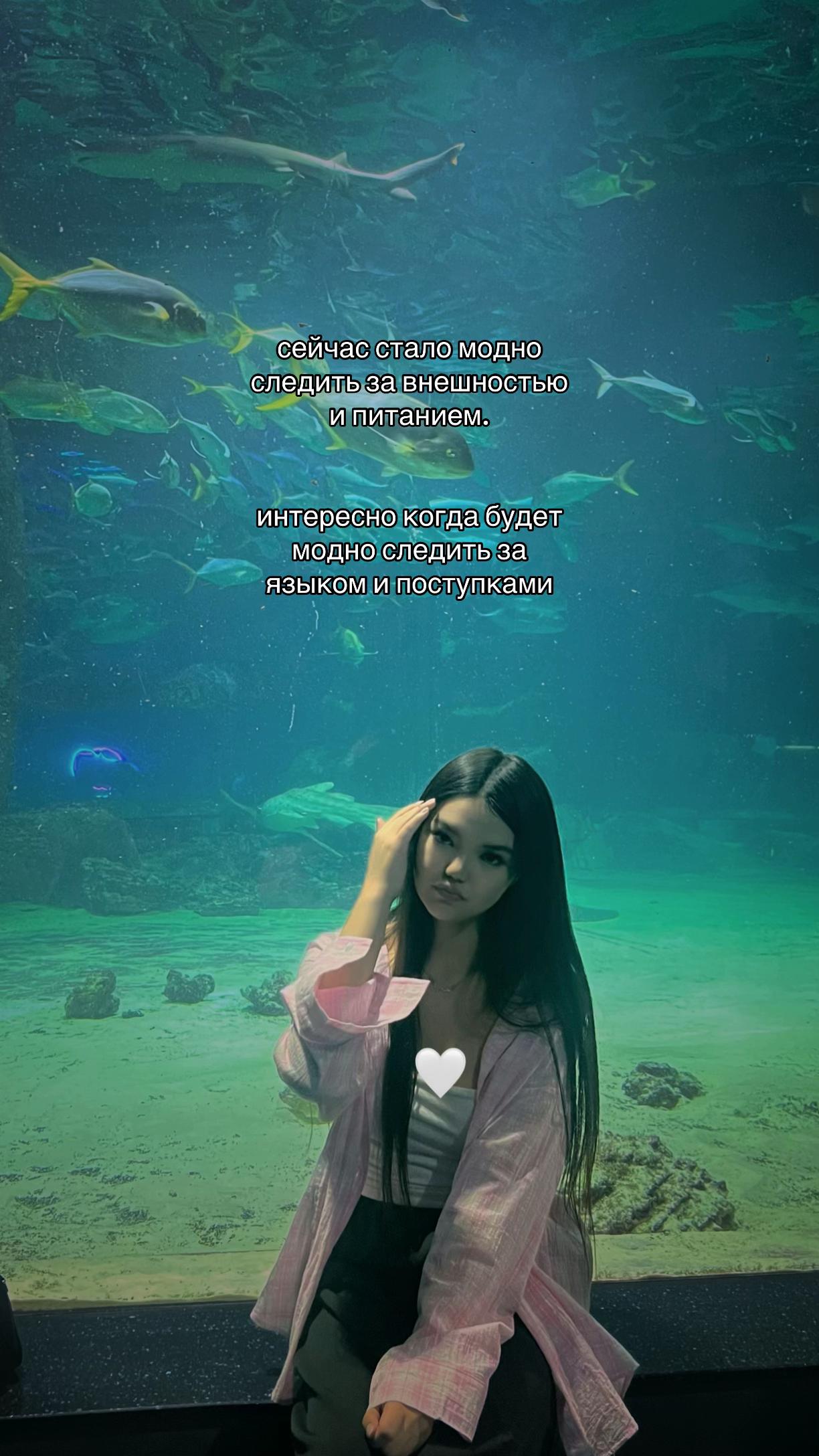@asemeow