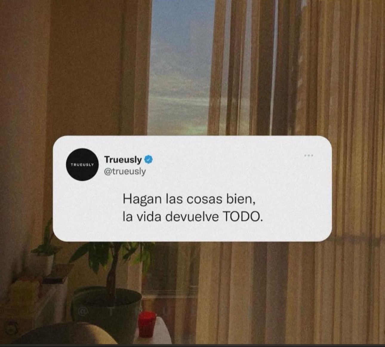 @Pame&ensp;Gomez