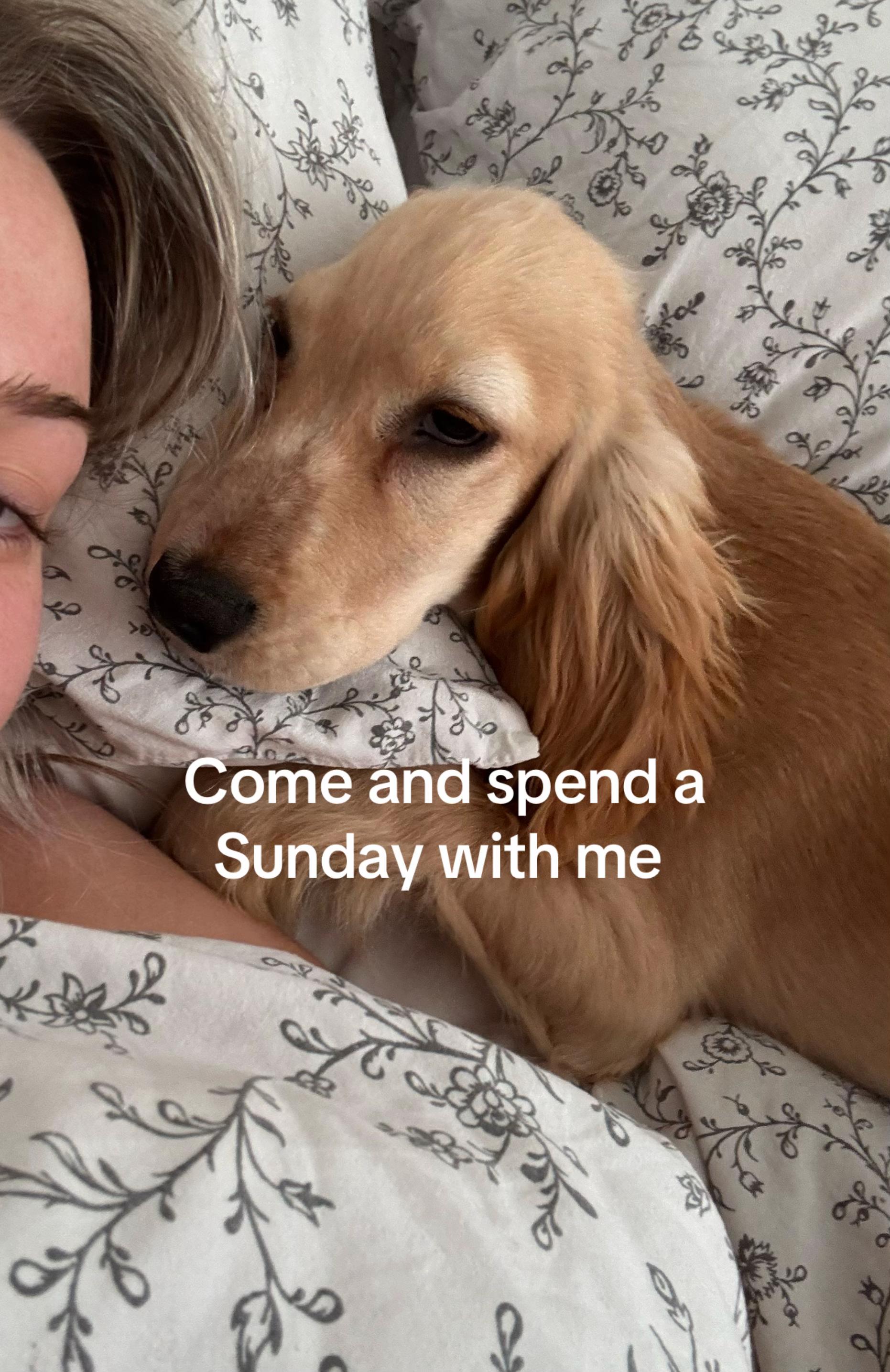 @slimmingworldwithmeadow