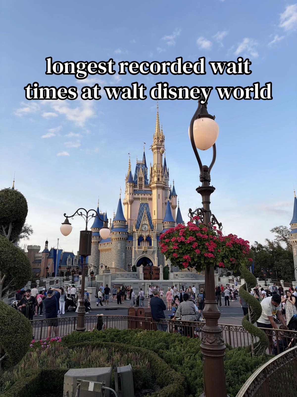 @2disneysisters