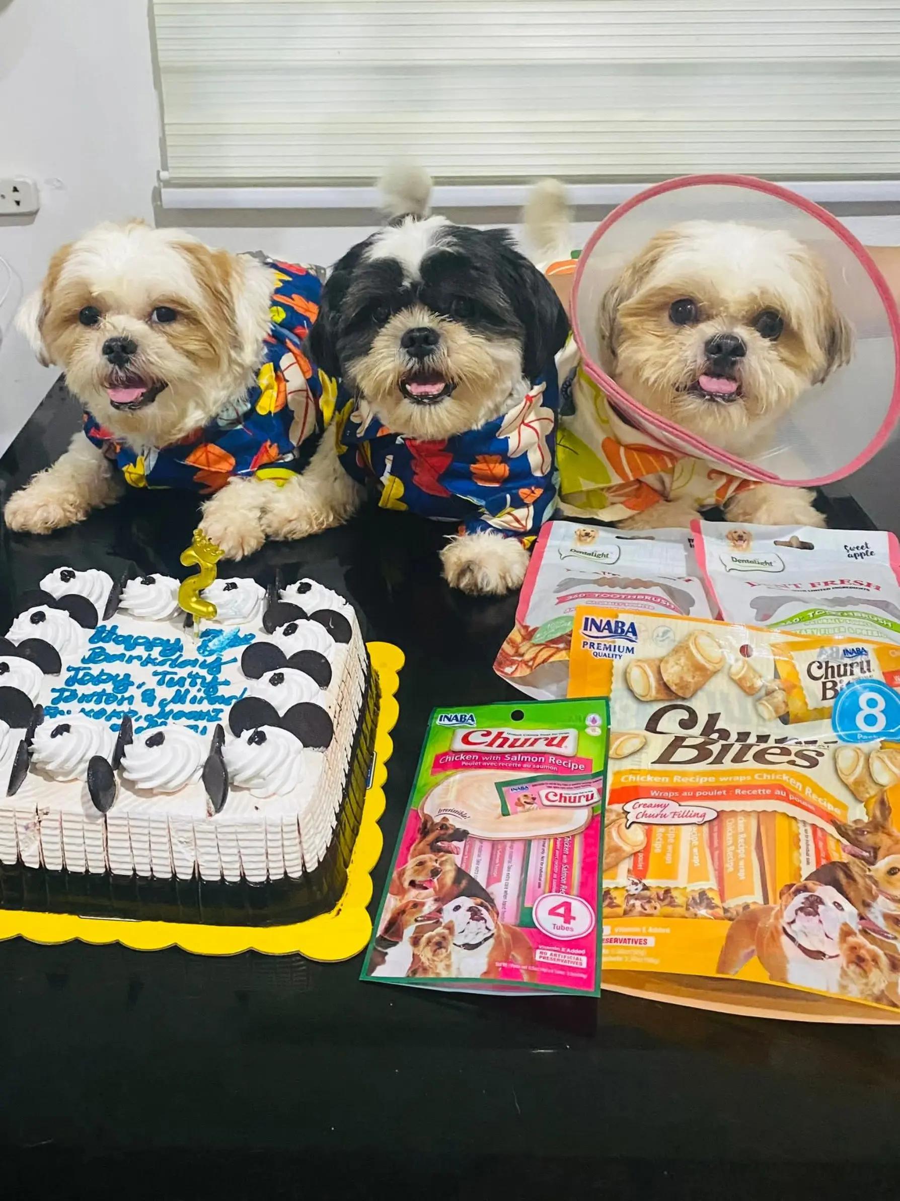 @PawmilyaSweettzu & Furbuddies