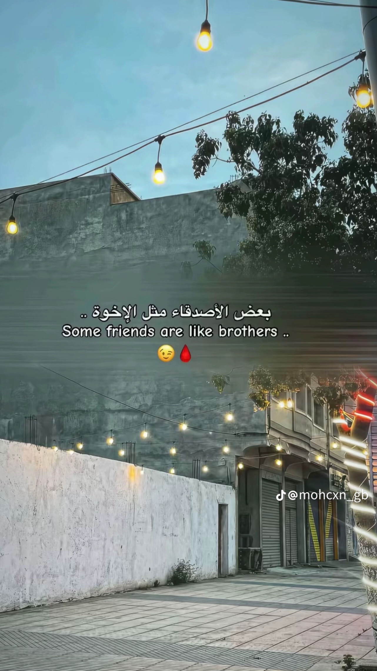 @Bello🐺🇦🇱