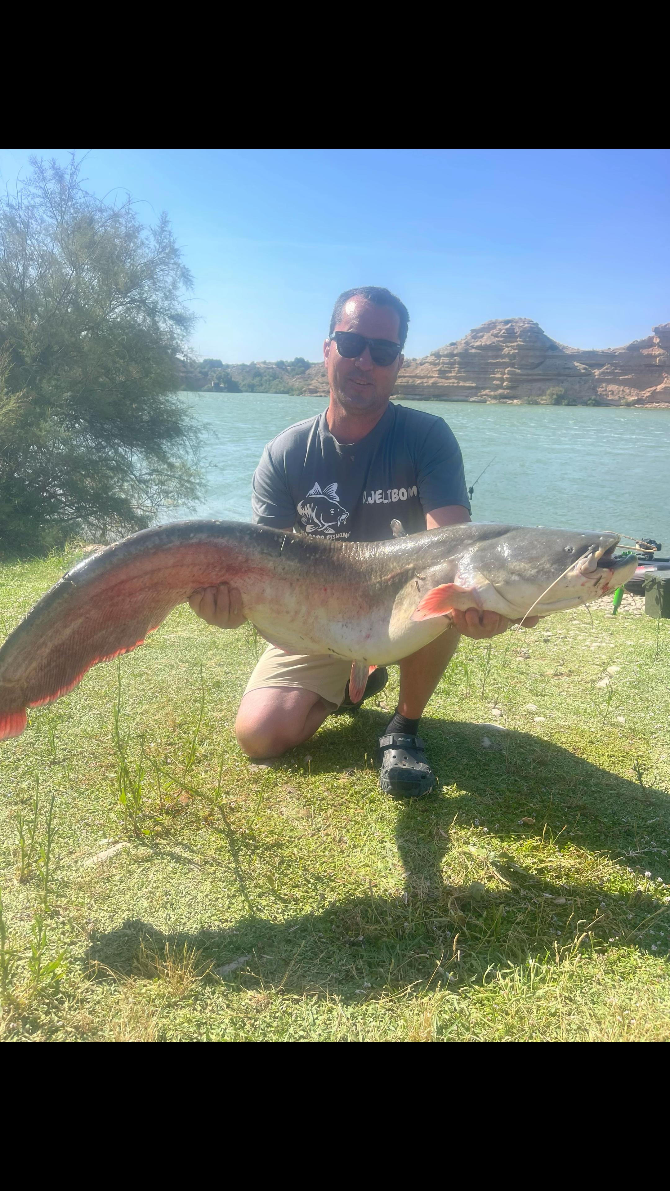 @Royal carp 🐟🐟🤩💪