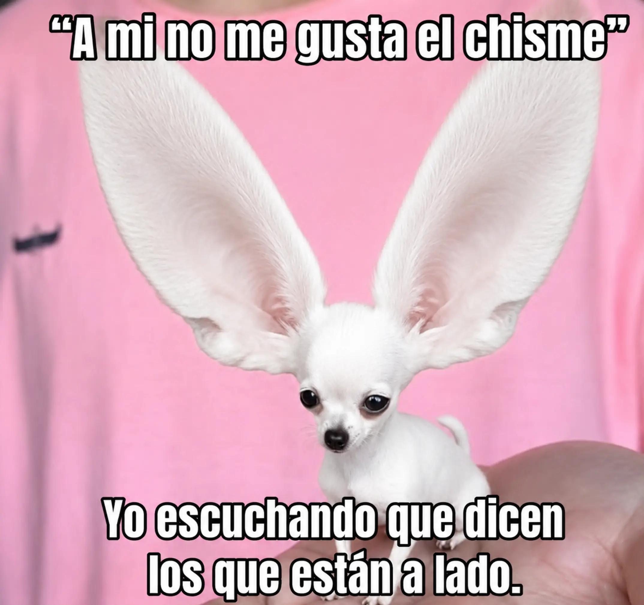 @La Esposita