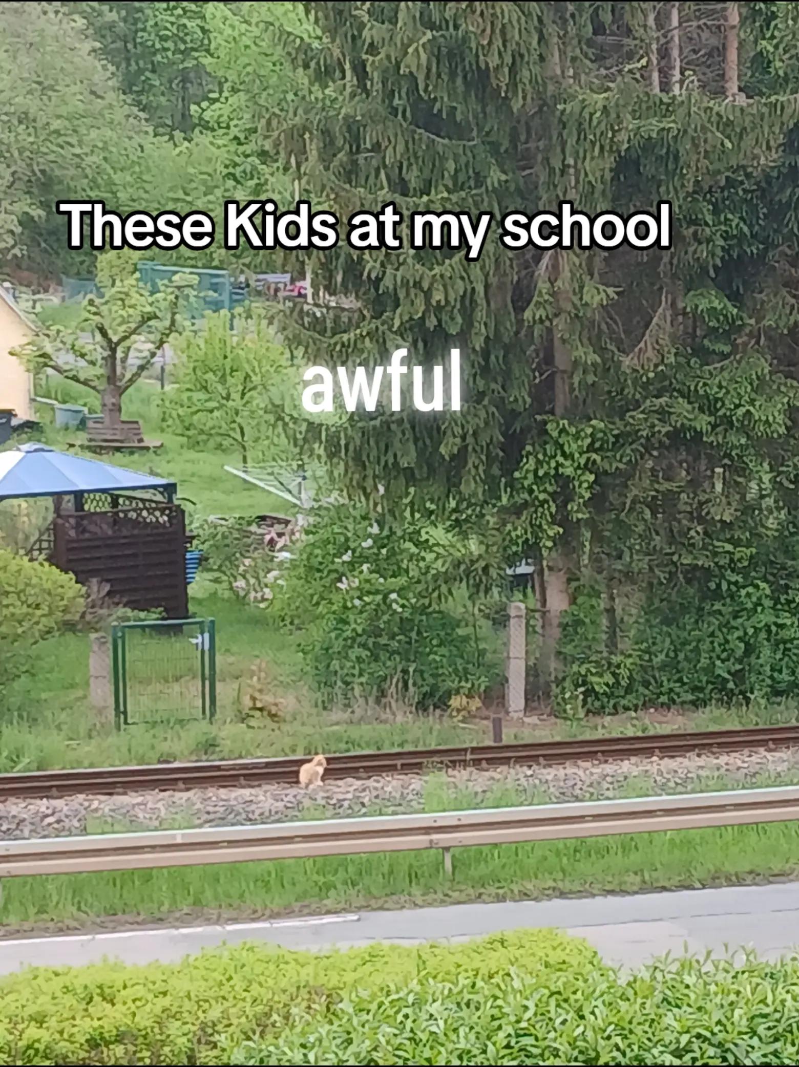 @🍊𝕸𝕺𝕺𝕹🍊