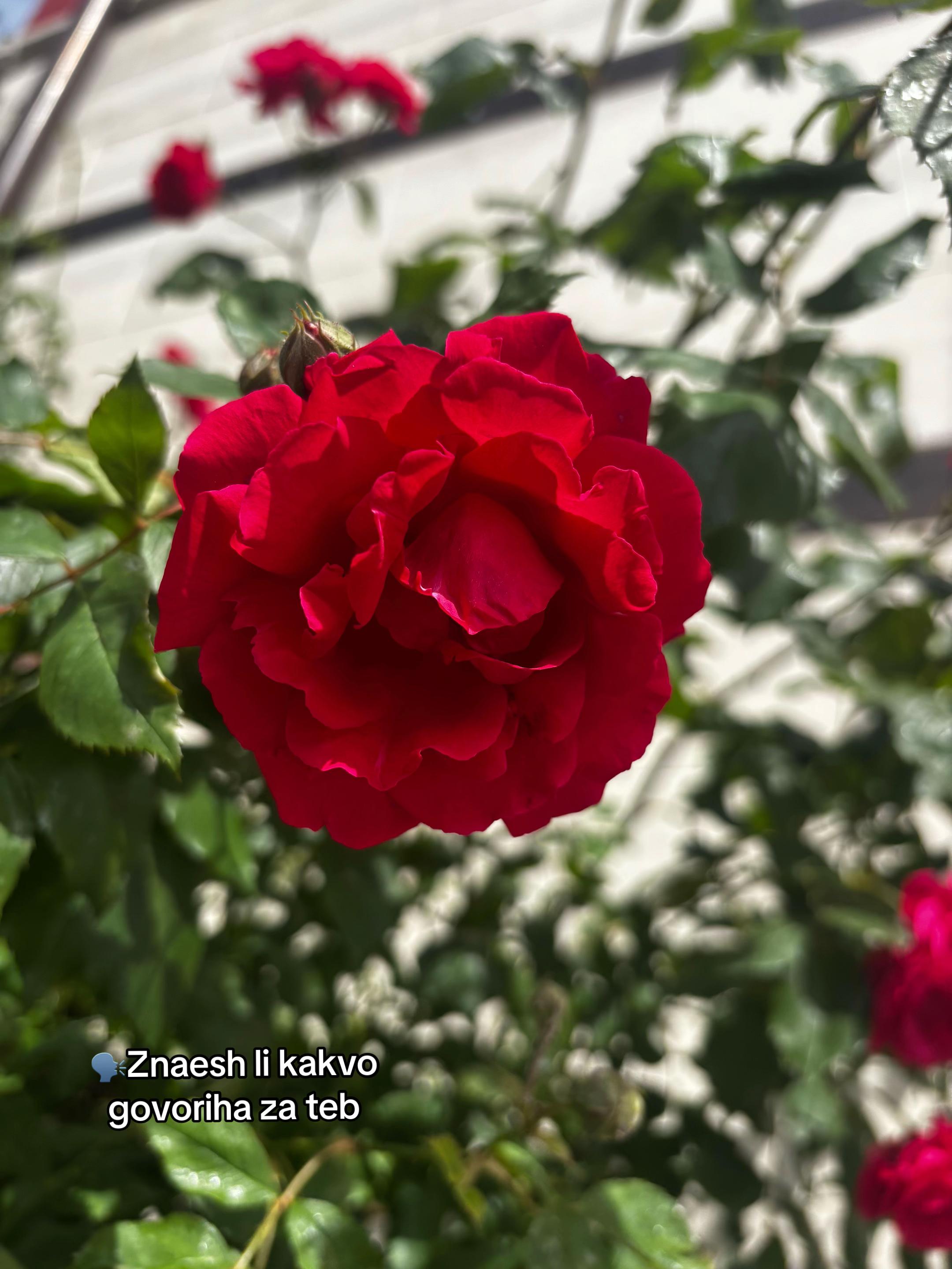 @k_qdkova25๐ฅ